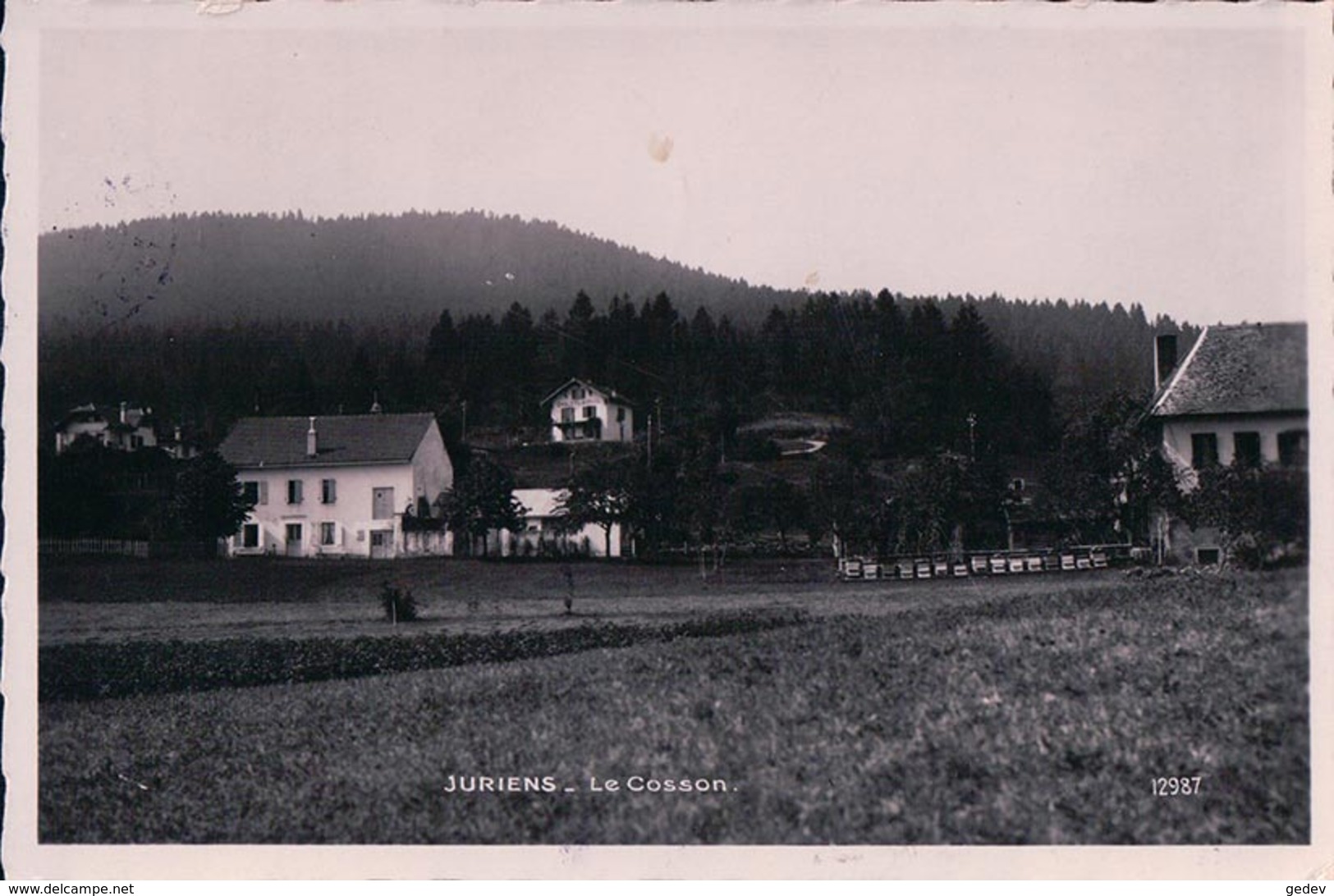 Juriens, Le Cosson, Chalet Du Signal, Ruches (12987) - Juriens