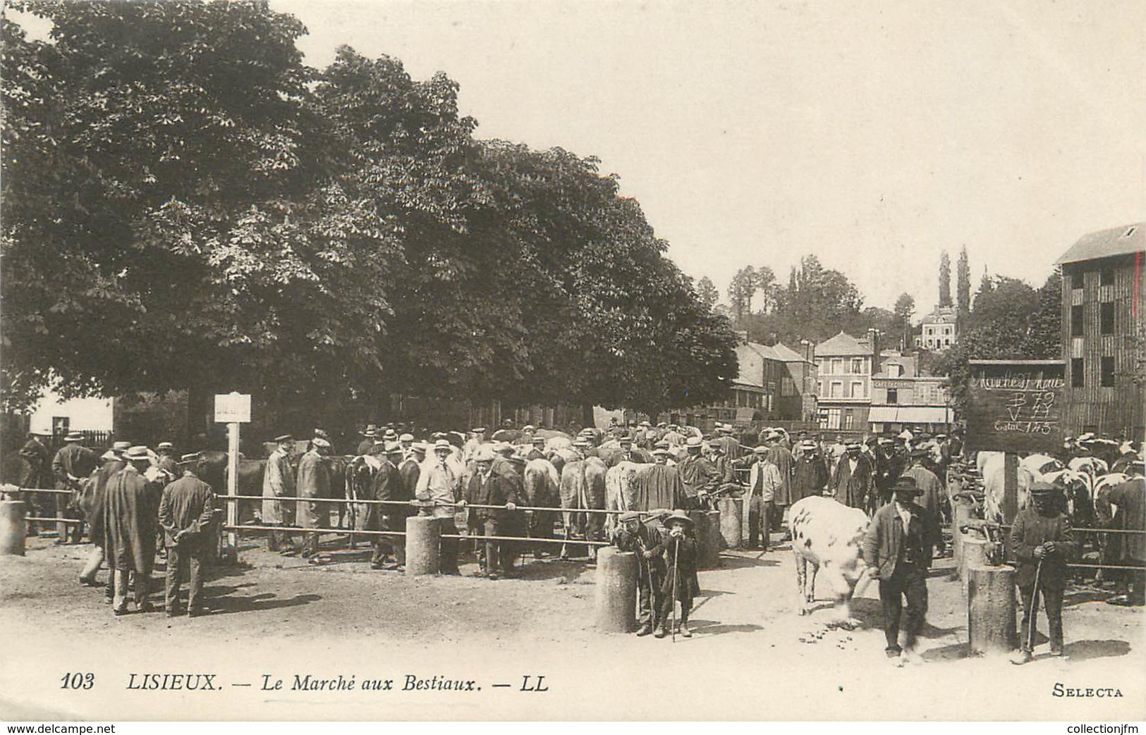 / CPA FRANCE 14 "Lisieux, Le Marché Aux Bestiaux" - Lisieux