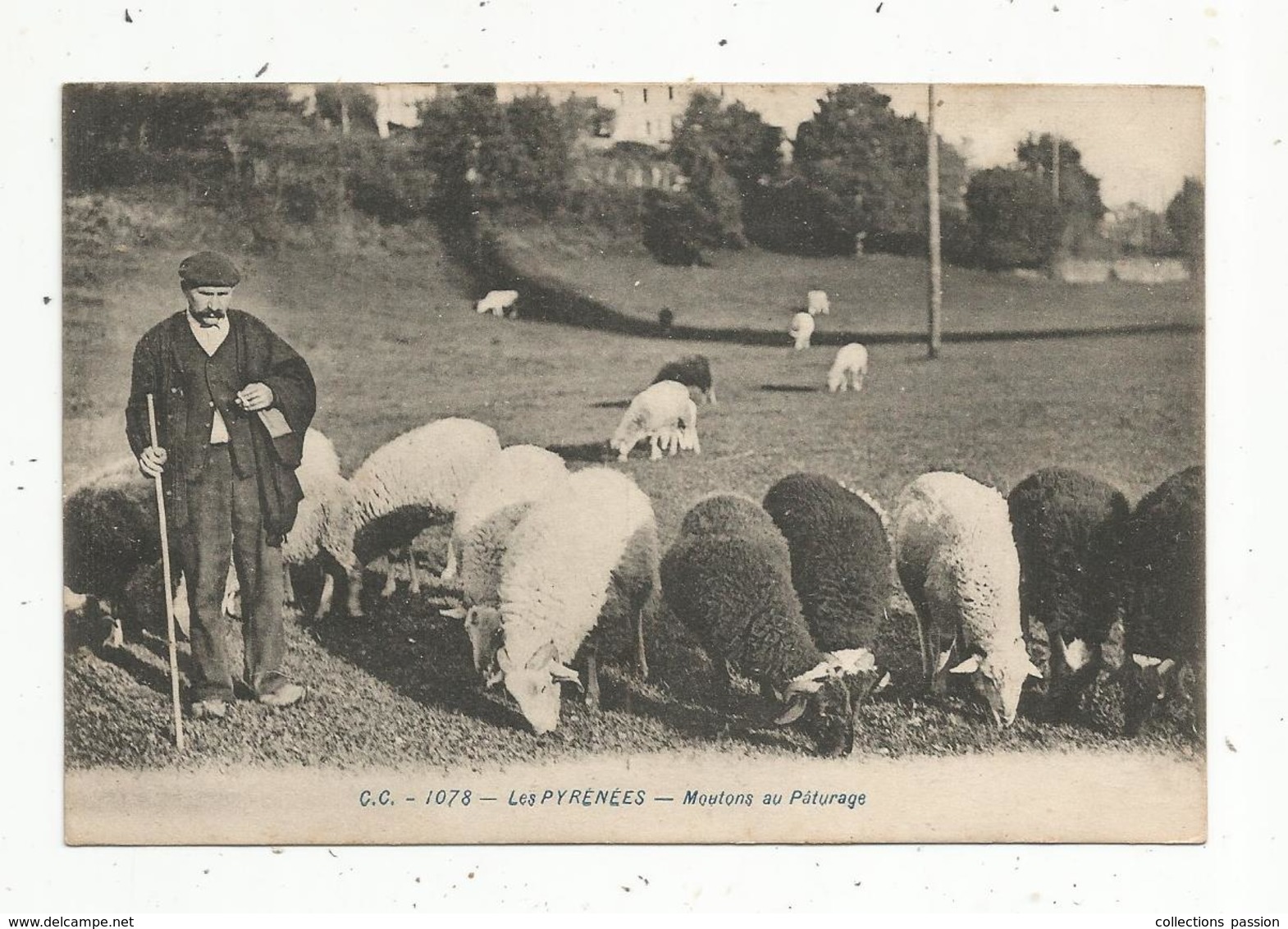 Cp , 65 , Agriculture , élevage , LES PYRENEES ,moutons Au Paturage ,voyagée - Allevamenti