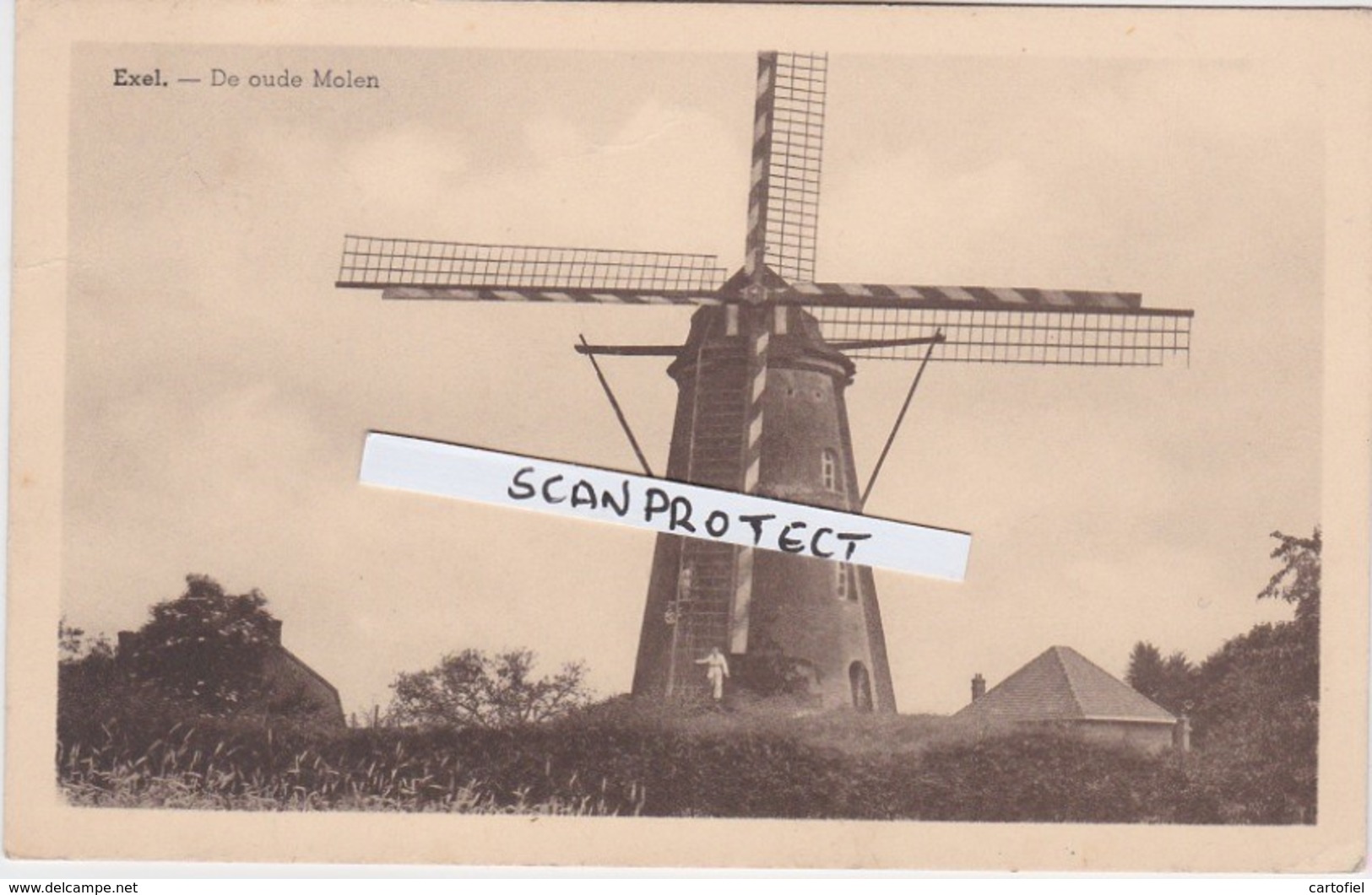 EXEL-EKSEL-DE OUDE MOLEN-WINDMOLEN-MOULIN-UITG.LOUIS HERMANS-VERSTUURD-1952-ZELDZAAM-RARE-ZIE DE 2 SCANS ! - Hechtel-Eksel