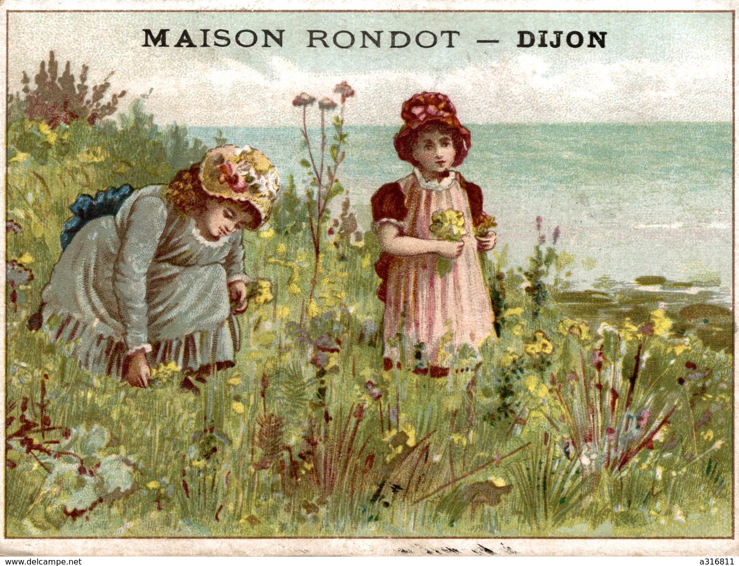 MAISON RONDOT DIJON  FLEURS SAUVAGE - Autres & Non Classés