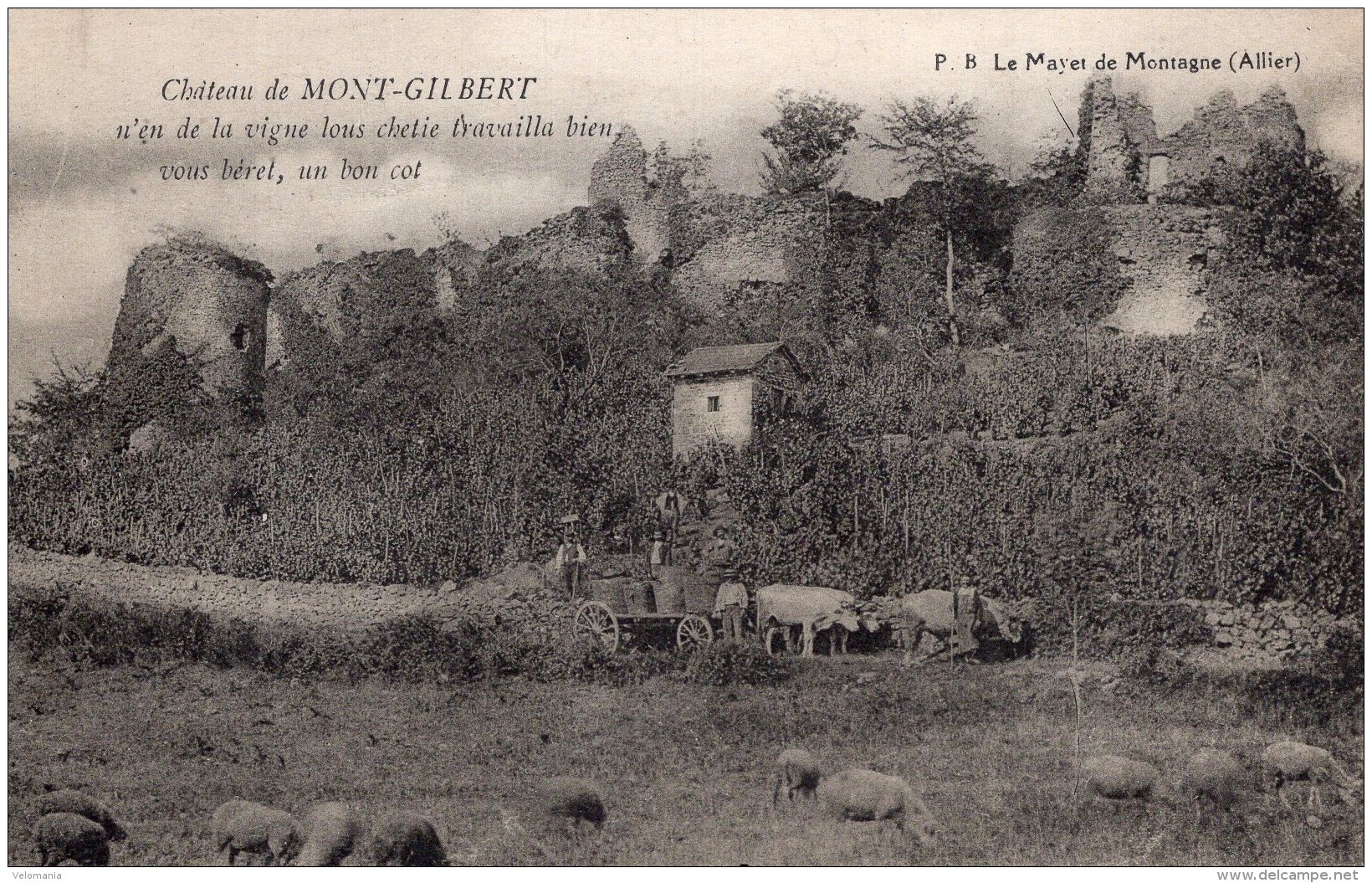 S281  - Cpa 03  Le Mayet De Montagne - Château De Mont Gilbert - Autres & Non Classés