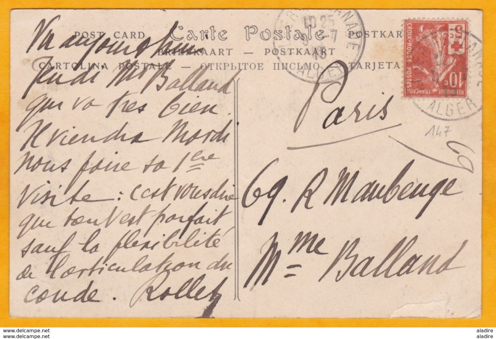 1915 -  N° 147 Surchargé Seul Sur CP D' Alger-Esplanade Vers Paris - Vue Hôpital Militaire Du Dey - ND Phot - Rode Kruis