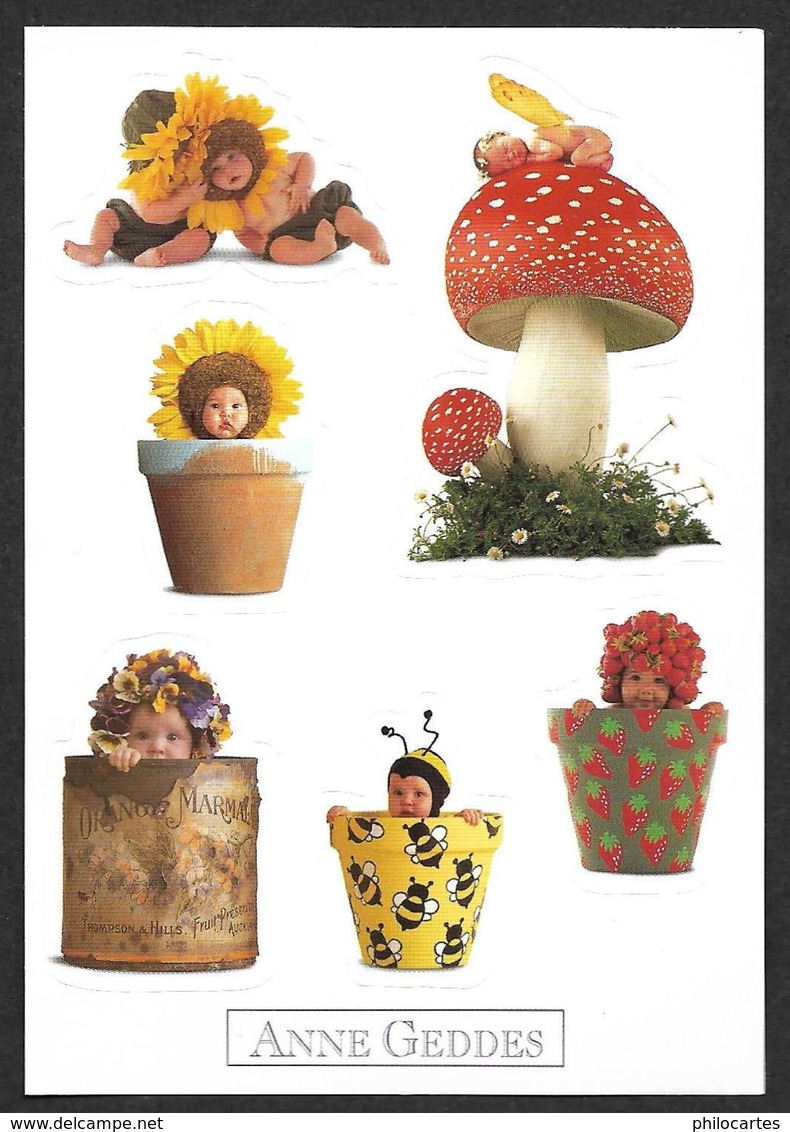 Stickers -  Anne Geddes - Other & Unclassified