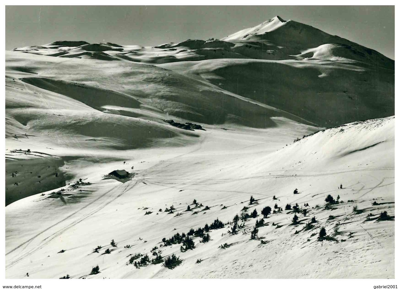 ALP DIL PLAUN EMSER SKIHUTTE MIT FAULHORN - Domat/Ems