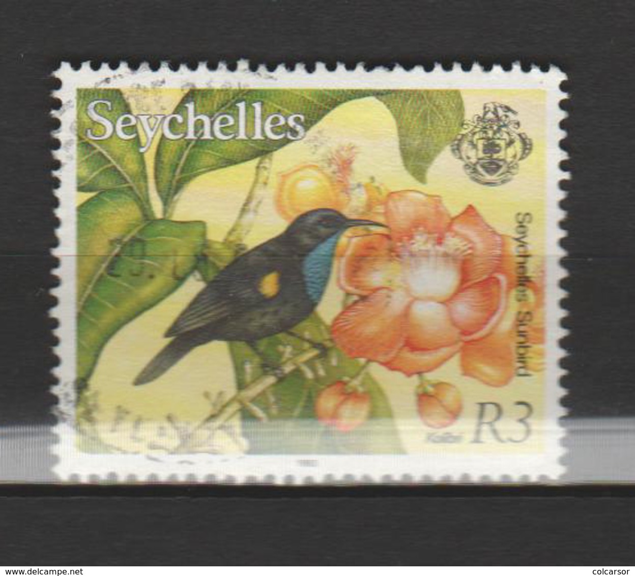 SEYCHELLES ;N°762 - Cuco, Cuclillos