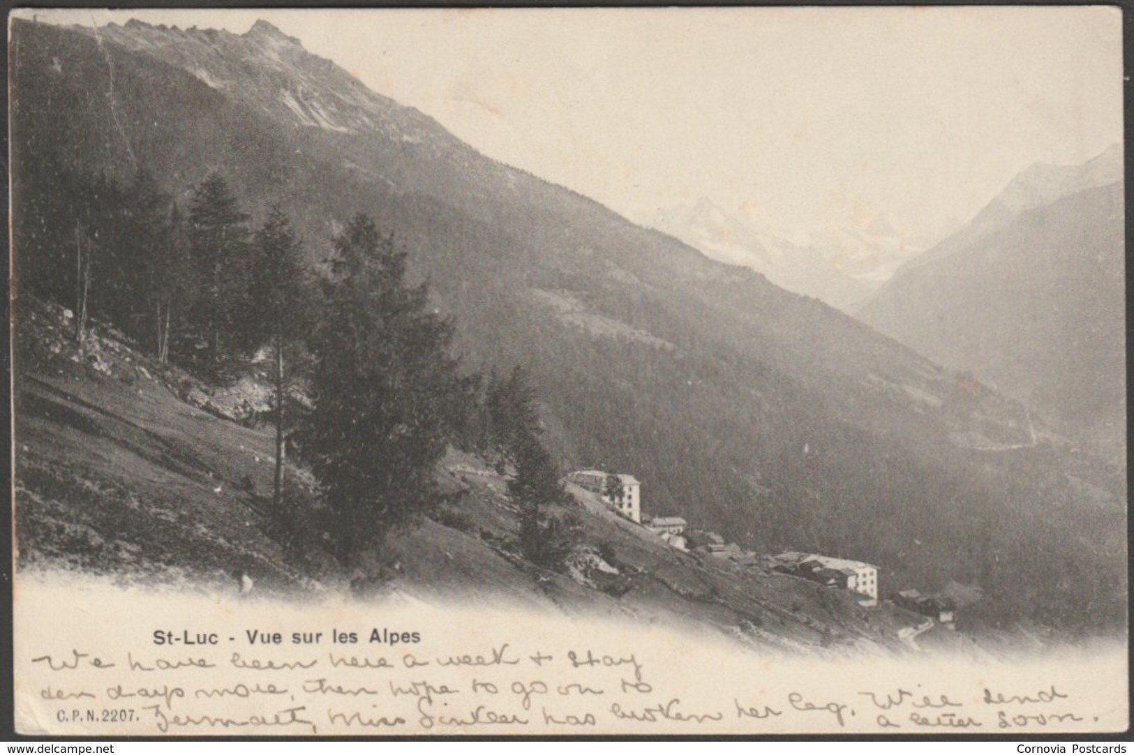 Vue Sur Les Alpes, St-Luc, Valais, 1906 - CPN U/B CPA - Saint-Luc