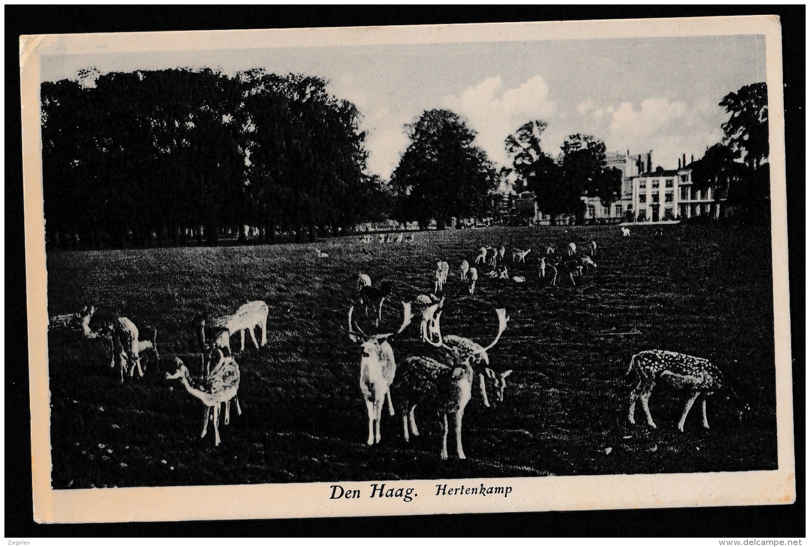 Den Haag - Hertenkamp 1932 - Den Haag ('s-Gravenhage)