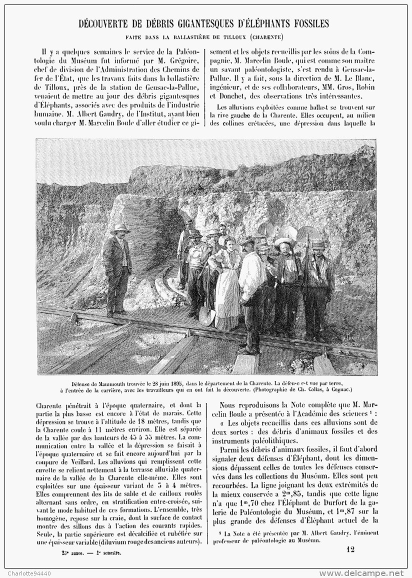 DECOUVERTE DE DEBRIS GIGANTESQUES D'ELEPHANTS FOSSILES Faites Dans La BALLASTIERE De TILLOUX  ( CHARENTE )   1895 - Aquitaine