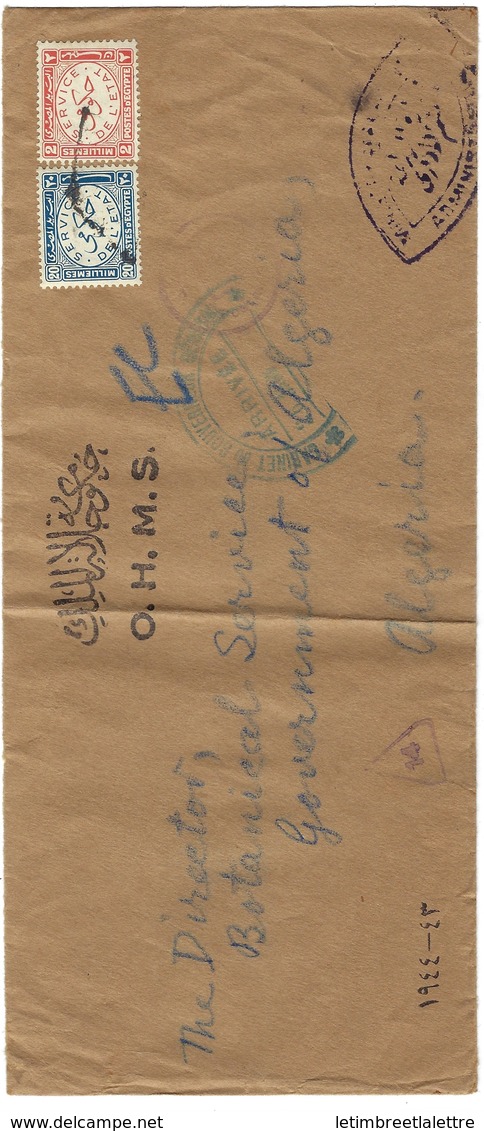 Lettre Avec Timbre Service, Egypte Pour L'Algérie - Dienstmarken