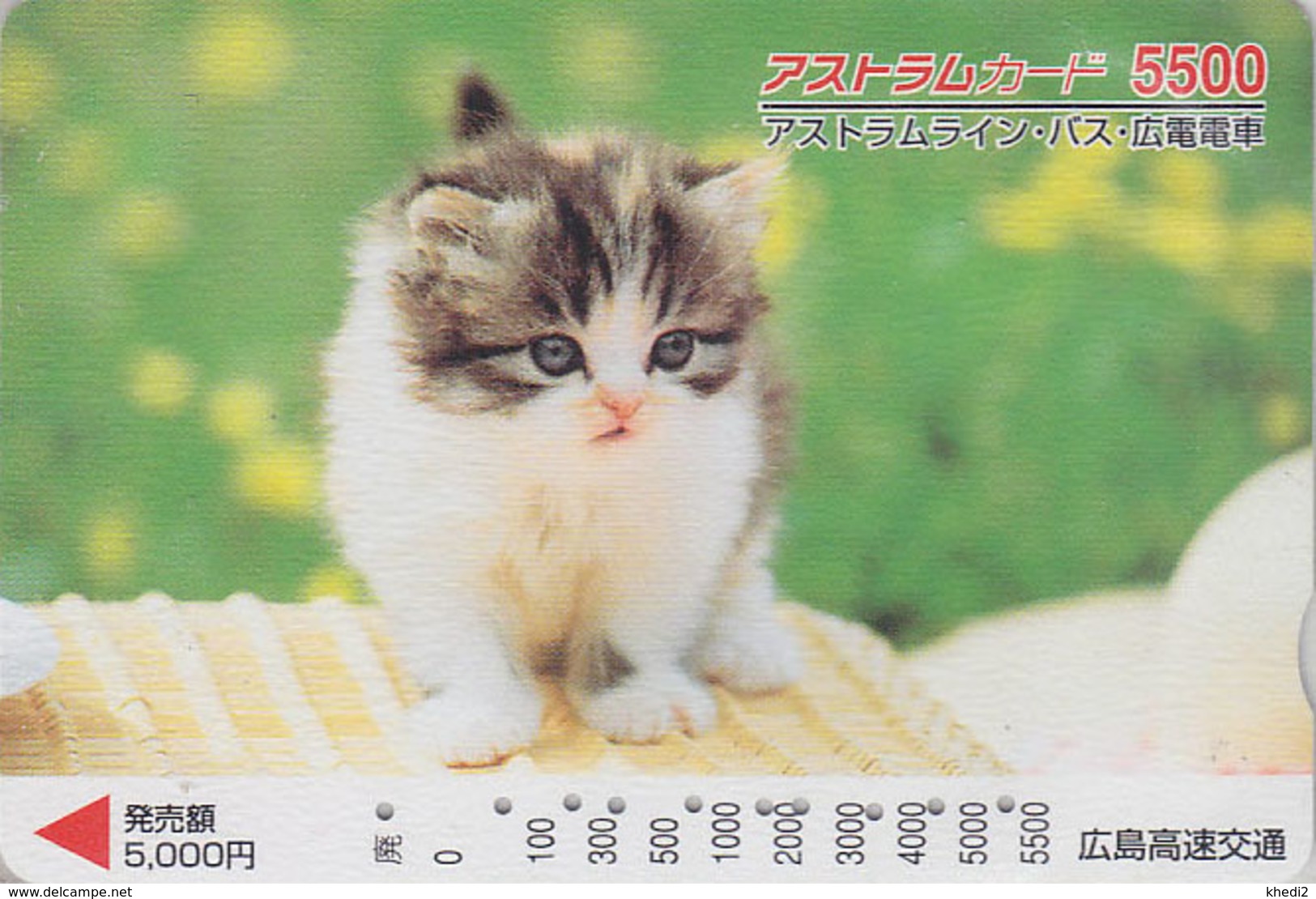 Carte Prépayée Japon - ANIMAL - CHAT 5500 - CAT Japan Prepaid Card - KATZE - GATTO - GATO - FR 4654 - Chats