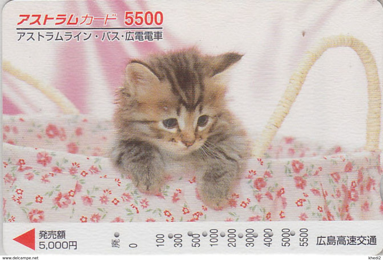 Carte Prépayée Japon - ANIMAL - CHAT 5500 - CAT Japan Prepaid Card - KATZE - GATTO - GATO - FR 4655 - Chats