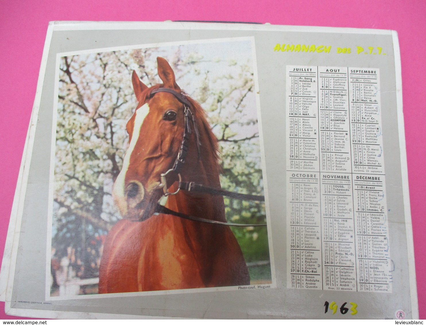 Almanach Des PTT/ Corréze/ Chat  Et Cheval / Oberthur/ Rennes / 1963       CAL396 - Tamaño Grande : 1961-70