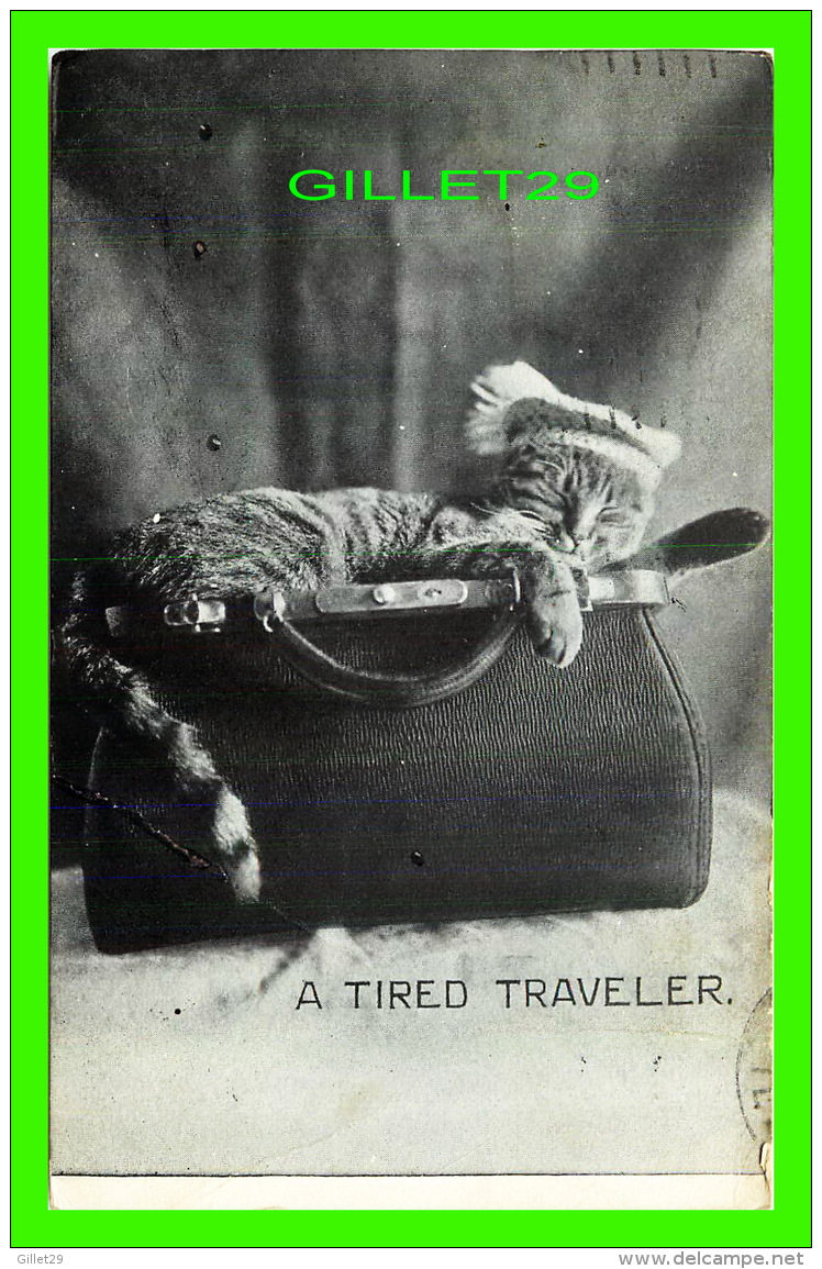 CATS, CHATS -  A TIRED TRAVELER - TRAVEL IN 1907 - P. S. &amp; CO - SERIE 102 No 13 - - Chats