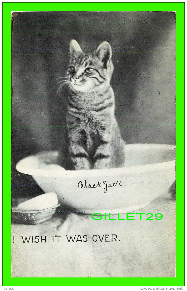 CATS, CHATS - I WISH IT WAS OVER - TRAVEL IN 1907 - P. S. &amp; CO - SERIE 102 No 4 - - Katten