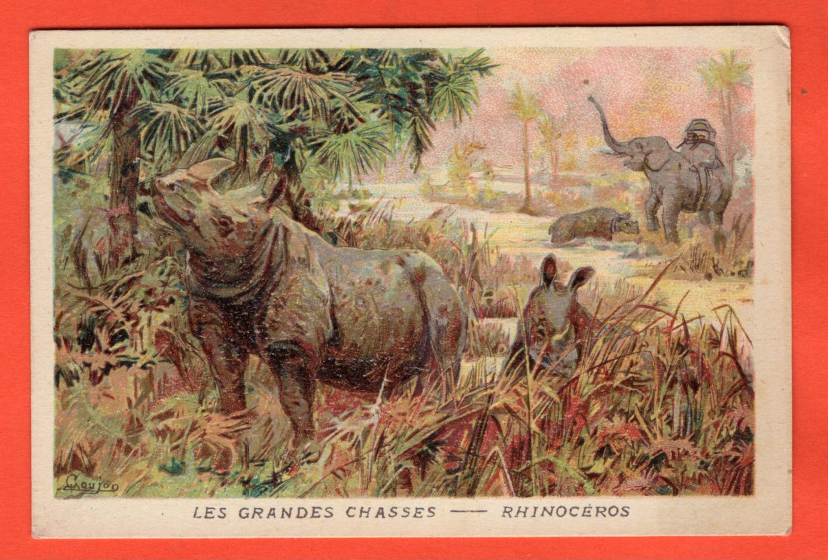 CHROMO -  JACQUEMAIRE - LA BLEDINE - LES GRANDES CHASSES - RHINOCÉROS - Autres & Non Classés