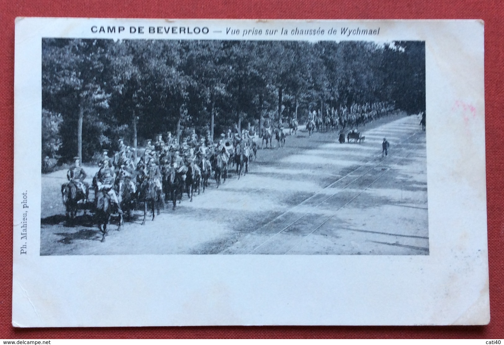 CAMP DE BEVERLOO  VUE PRISE SUR LA CHAUSSEE DE WYCHMAEL SFILATA MILITARI A CAVALLO - Autres & Non Classés