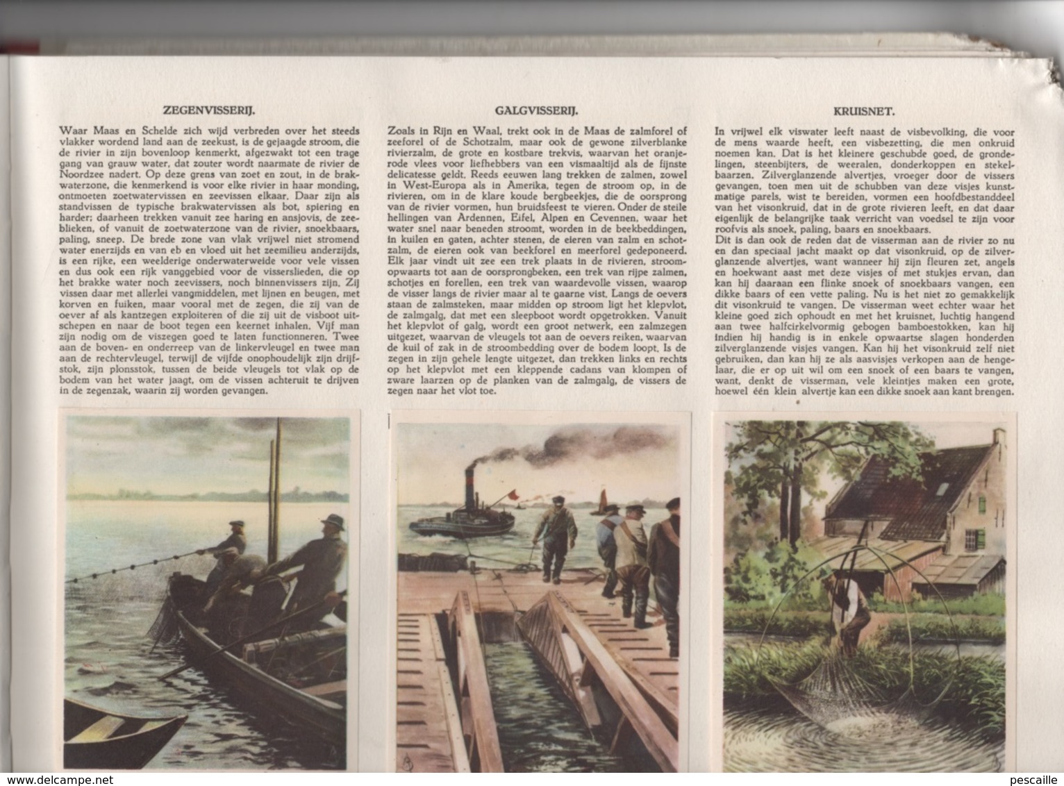 ALBUM COMPLET DE 84 CHROMOS VEEN FRERES BERCHEM-ANVERS - TUSSEN MAAS EN SCHELDE - 38 PAGES 30 X 23 CM - Albums & Katalogus