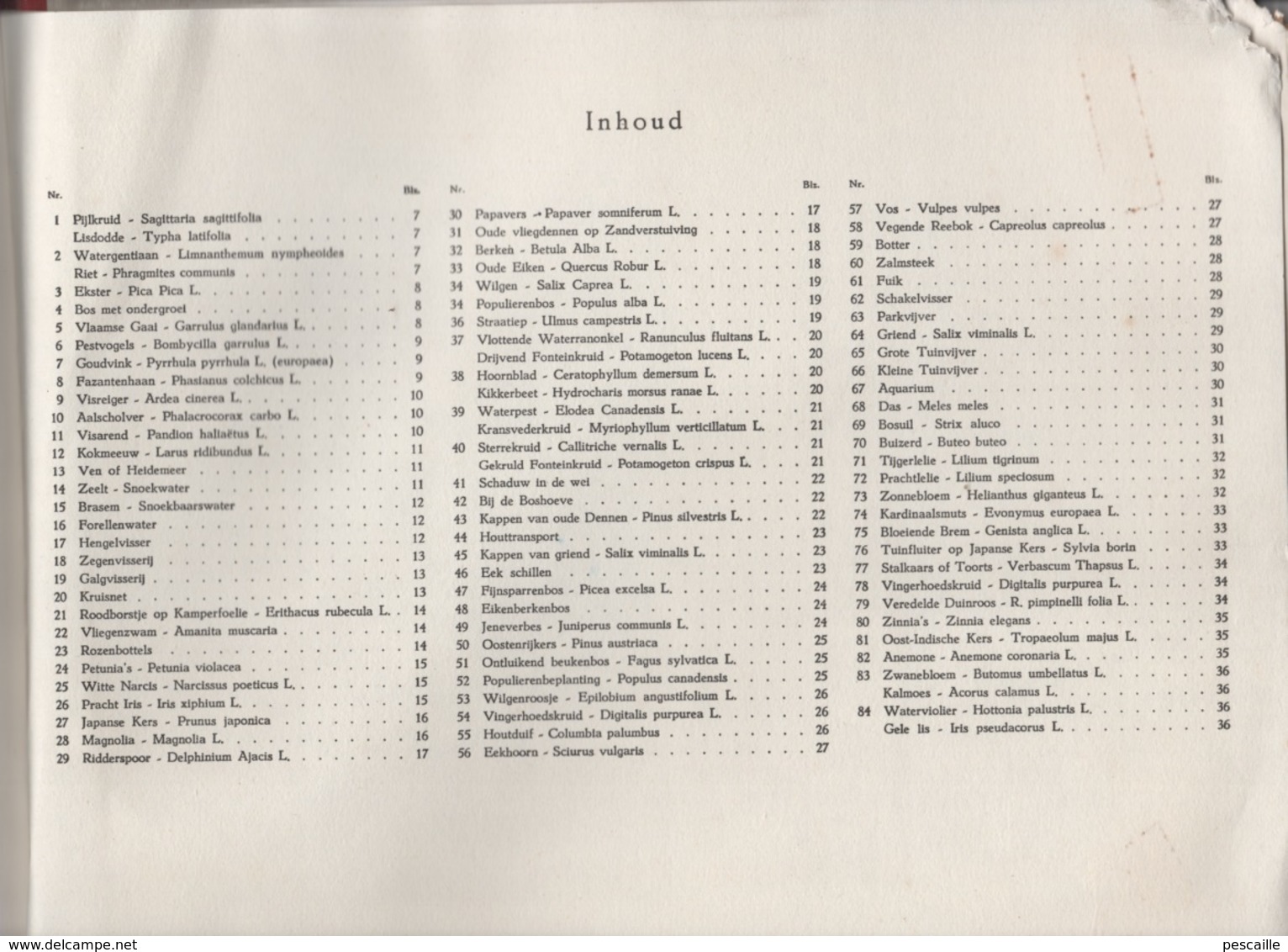ALBUM COMPLET DE 84 CHROMOS VEEN FRERES BERCHEM-ANVERS - TUSSEN MAAS EN SCHELDE - 38 PAGES 30 X 23 CM - Album & Cataloghi