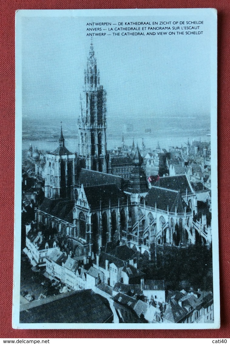 ANVERS  LA CATHEDRALE  ET PANORAMA - Autres & Non Classés