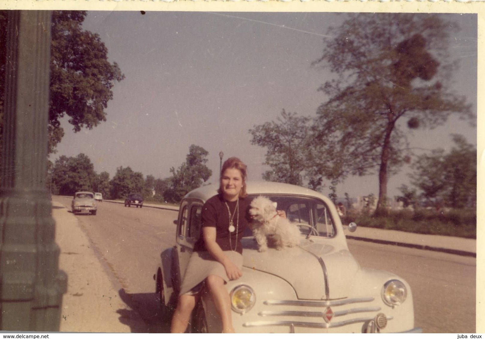 Années 70 .  Renault 4CV Et Aronde . Jeune Femme Et Son Caniche . - Cars