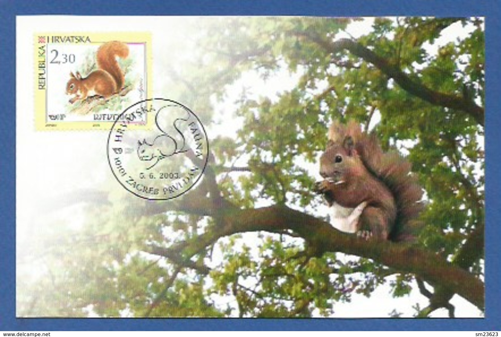 Kroatien / Hrvatska  2003 , Fauna - Eichhörnchen - Maximum Card - First Day Zagreb  5.6.2003 - Kroatië