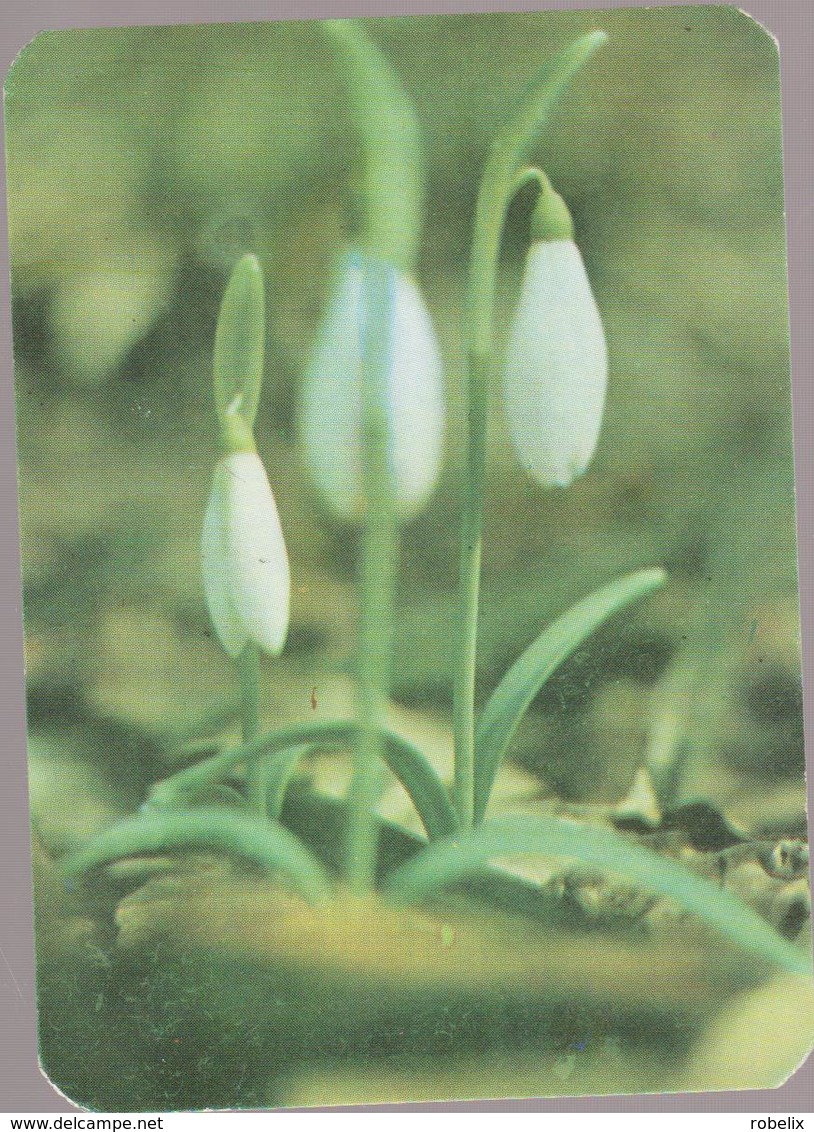 CALENDARS - ROMANIA 1985  4 Calendars -Red Cross - Croix Rouge -Rotes Kreuz  - FLOWERS  (7 X 10 Cm) -5 Scans - Petit Format : 1981-90