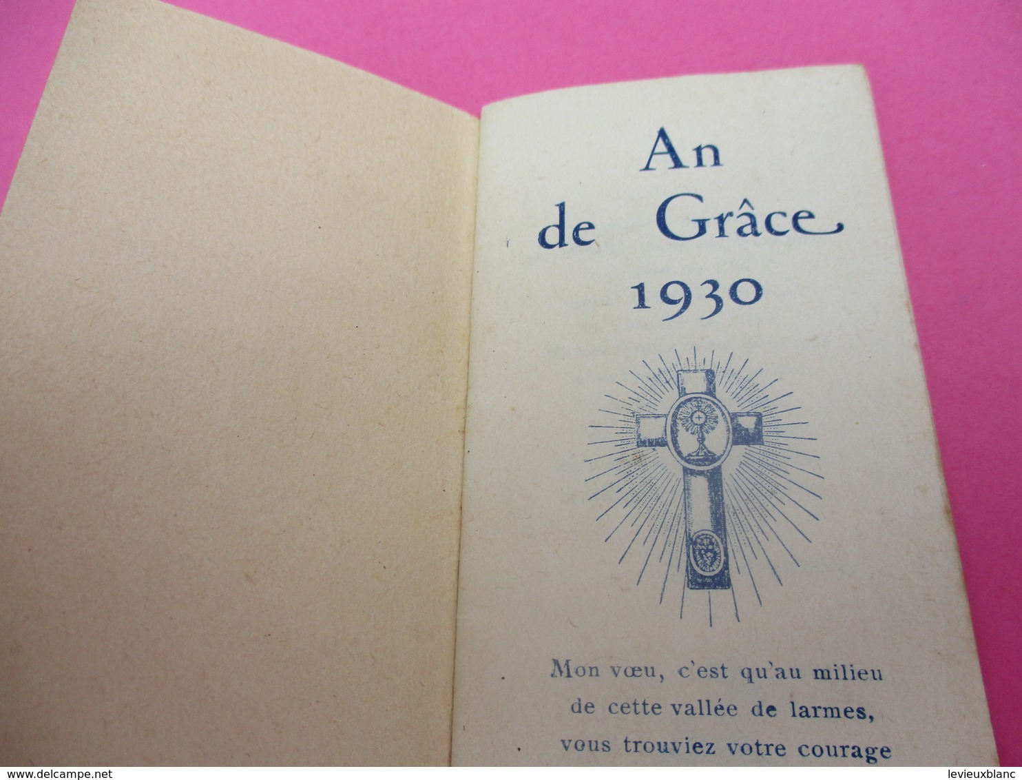 Religion/ Petit Calendrier De Poche/L'An De Grâce 1930/Année De La Canonisation De Ste Thérése/1930      CAL403 - Tamaño Pequeño : 1921-40