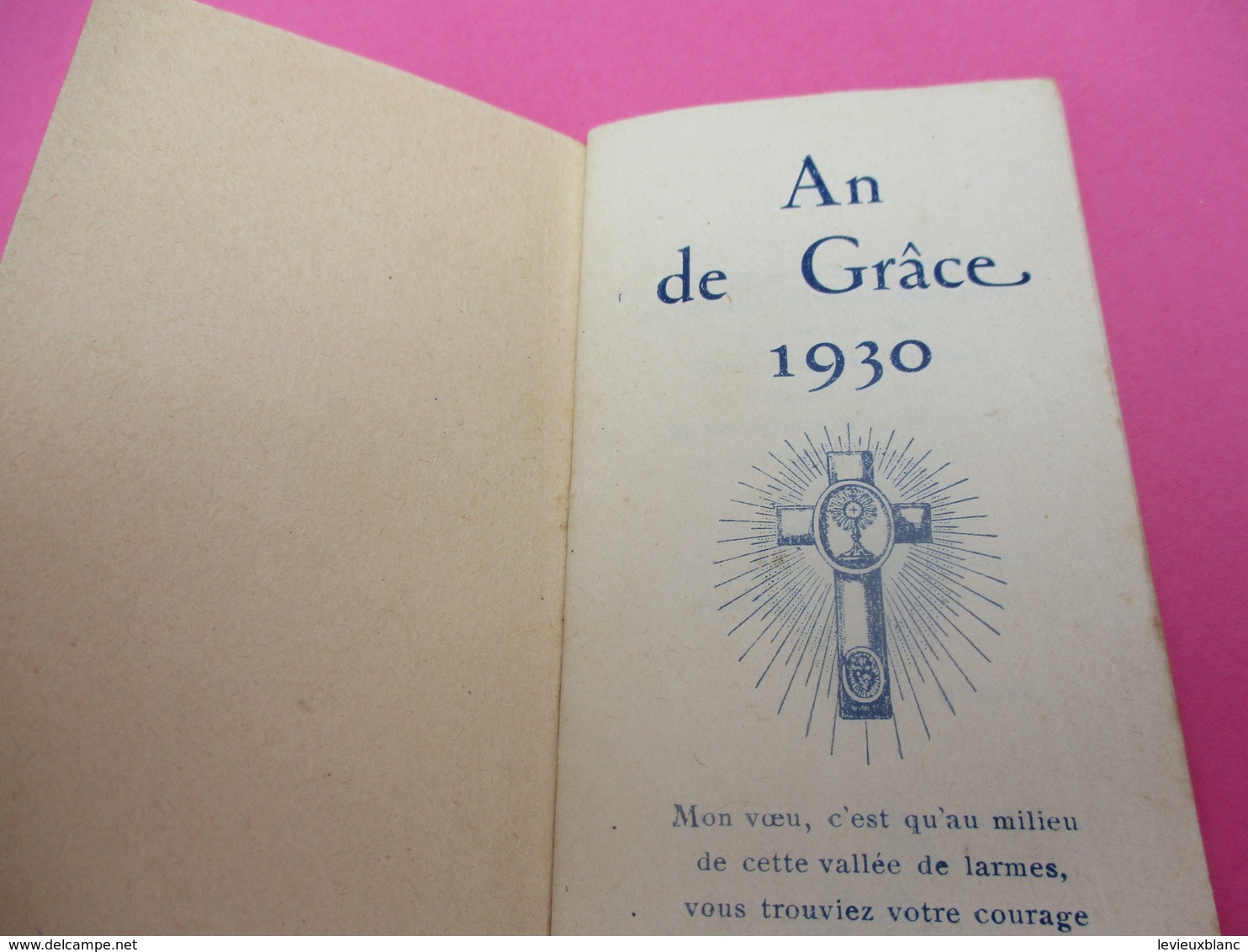 Religion/ Petit Calendrier De Poche/L'An De Grâce 1930/Année De La Canonisation De Ste Thérése/1930      CAL403 - Formato Piccolo : 1921-40