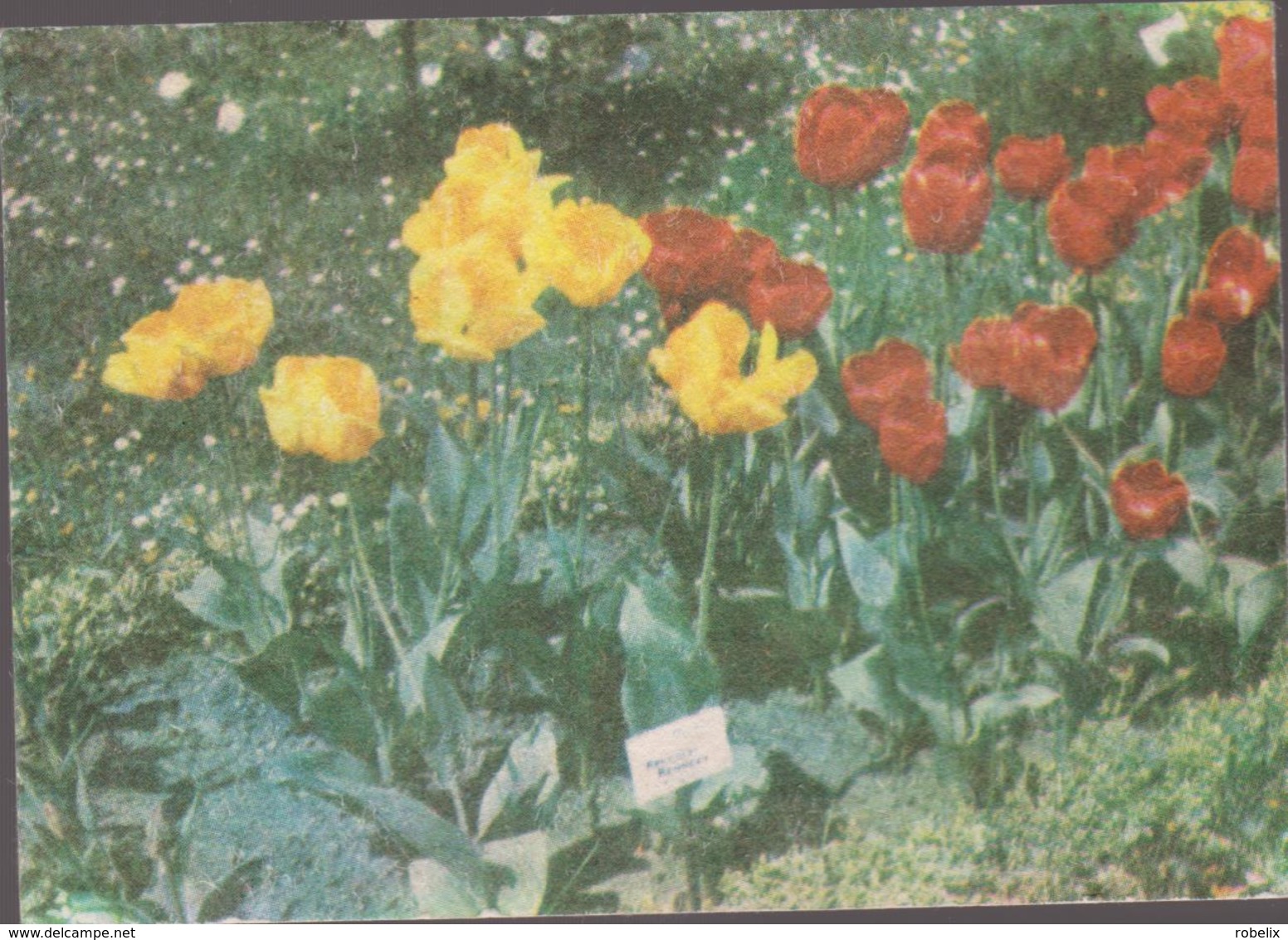 CALENDARS - ROMANIA 1987  Red Cross - Croix Rouge -Rotes Kreuz  - FLOWERS  (7 X 10 Cm) -2 Scans - Tamaño Pequeño : 1981-90