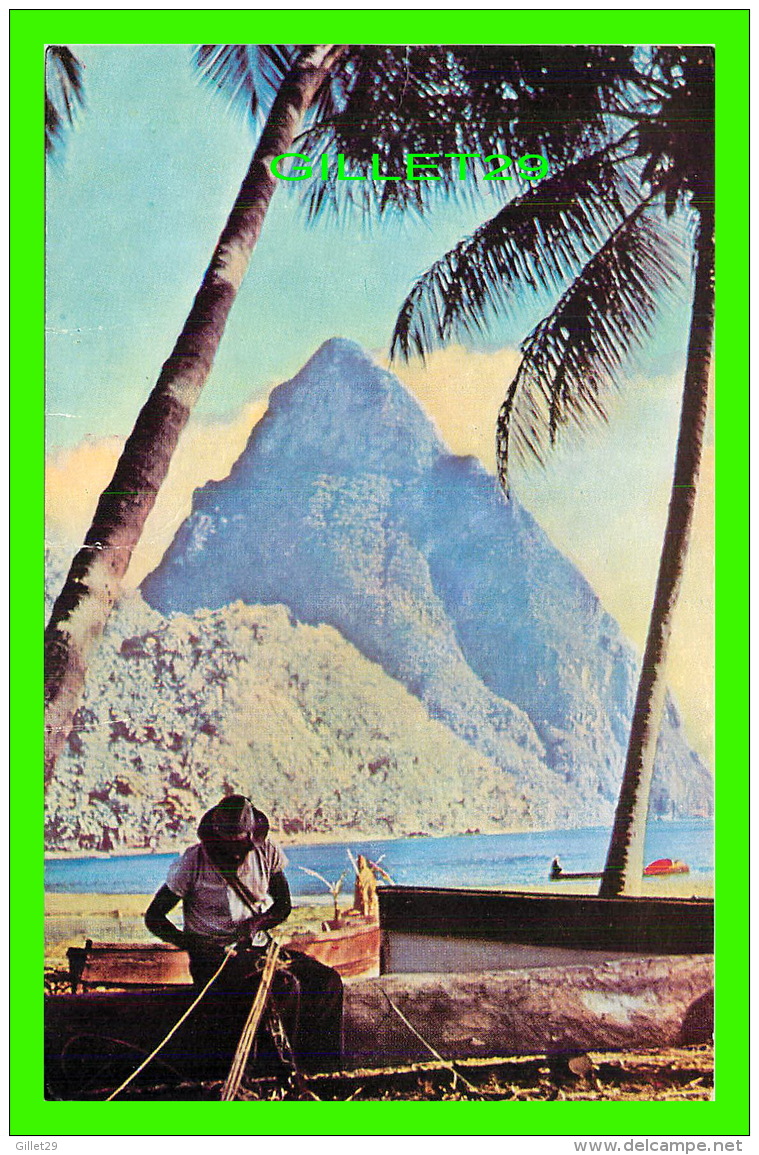 SAINTE LUCIE - THE PITONS, SOUFRIÈRE, ST LUCIA - - Saint Lucia