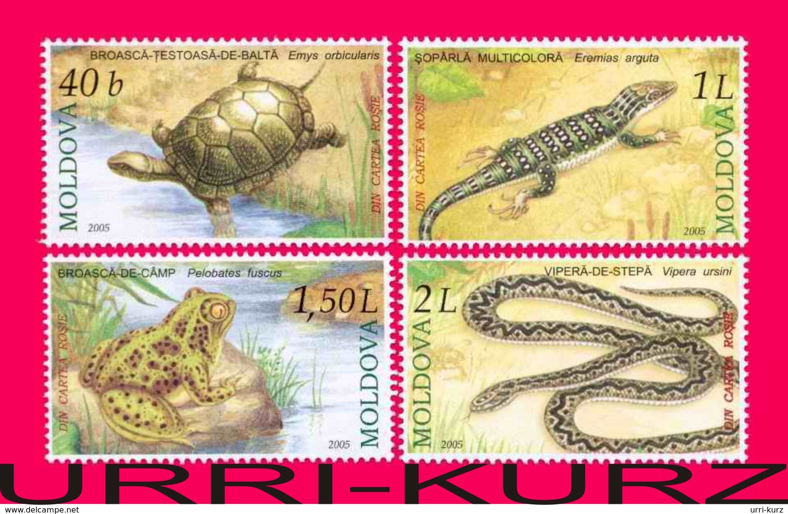 MOLDOVA 2005 Nature Fauna Animals Reptiles Amphibians Snake Turtle Frog Lizard 4v Mi524-527 Sc501-504 MNH - Moldova