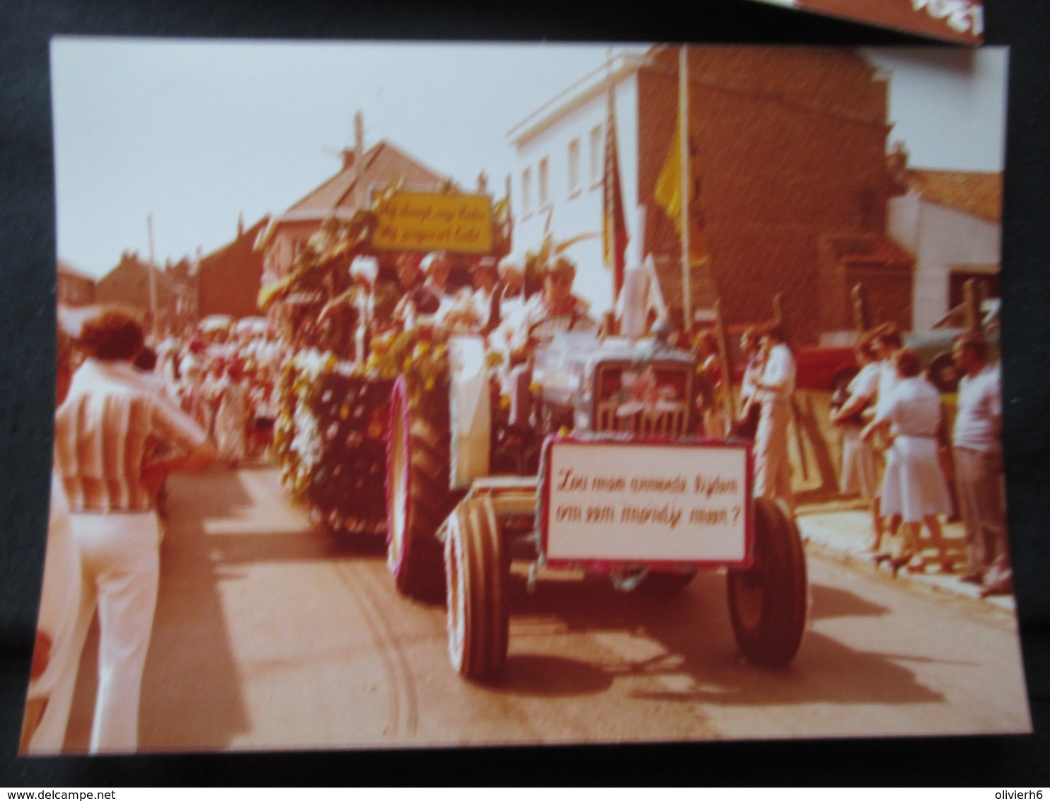 LOT 27 PHOTOS PROCESSION CORSO (M1814) ZUNDERT ? BELGIQUE ? (1 Vue) Char Fleur Etc. - Métiers