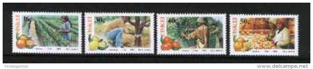 CISKEI, 1988, MNH Stamp(s), Citrus Farming,  Nr(s). 141-144 - Ciskei