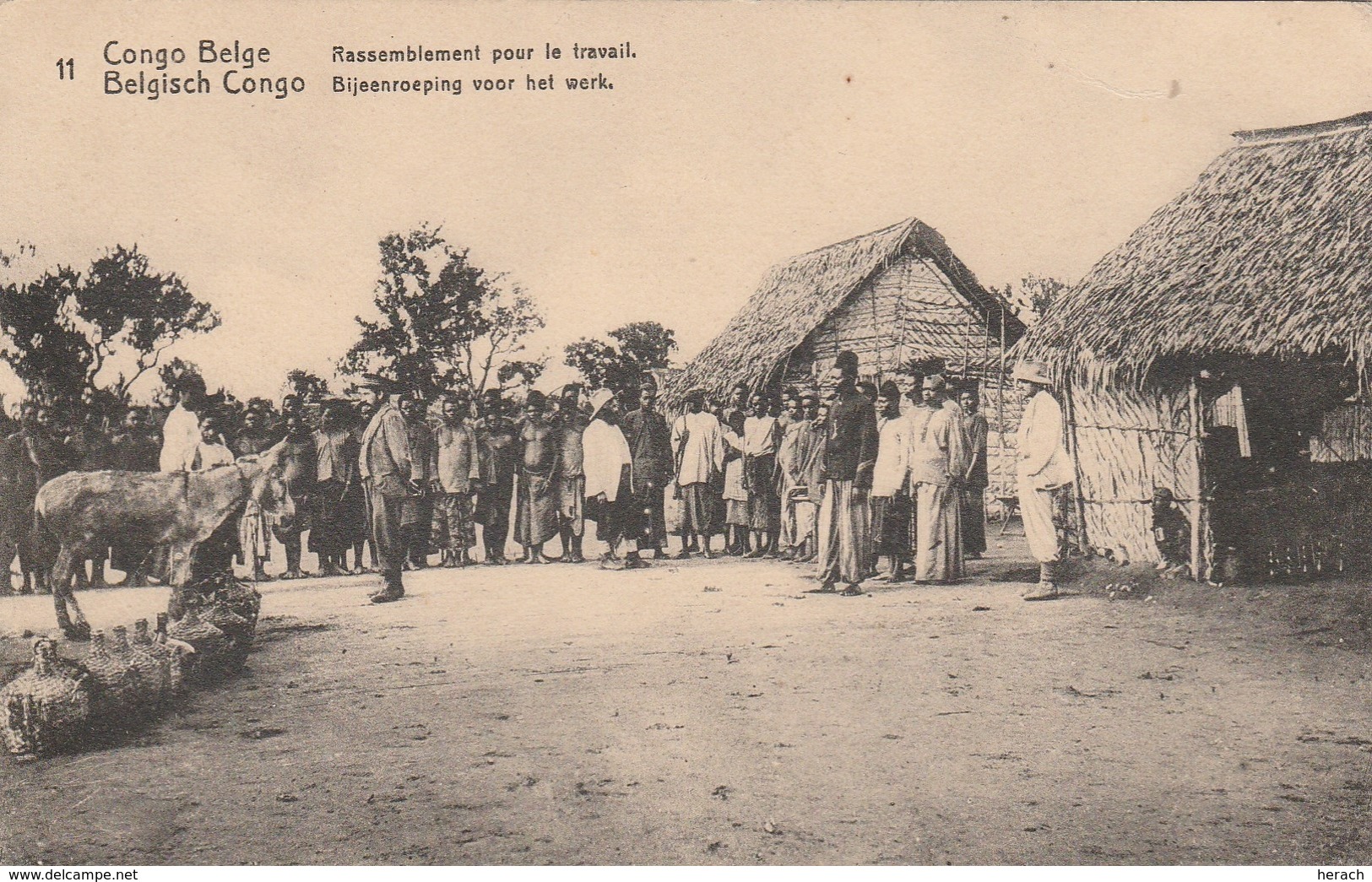 Congo Belge Entier Postal Illustré - Postwaardestukken