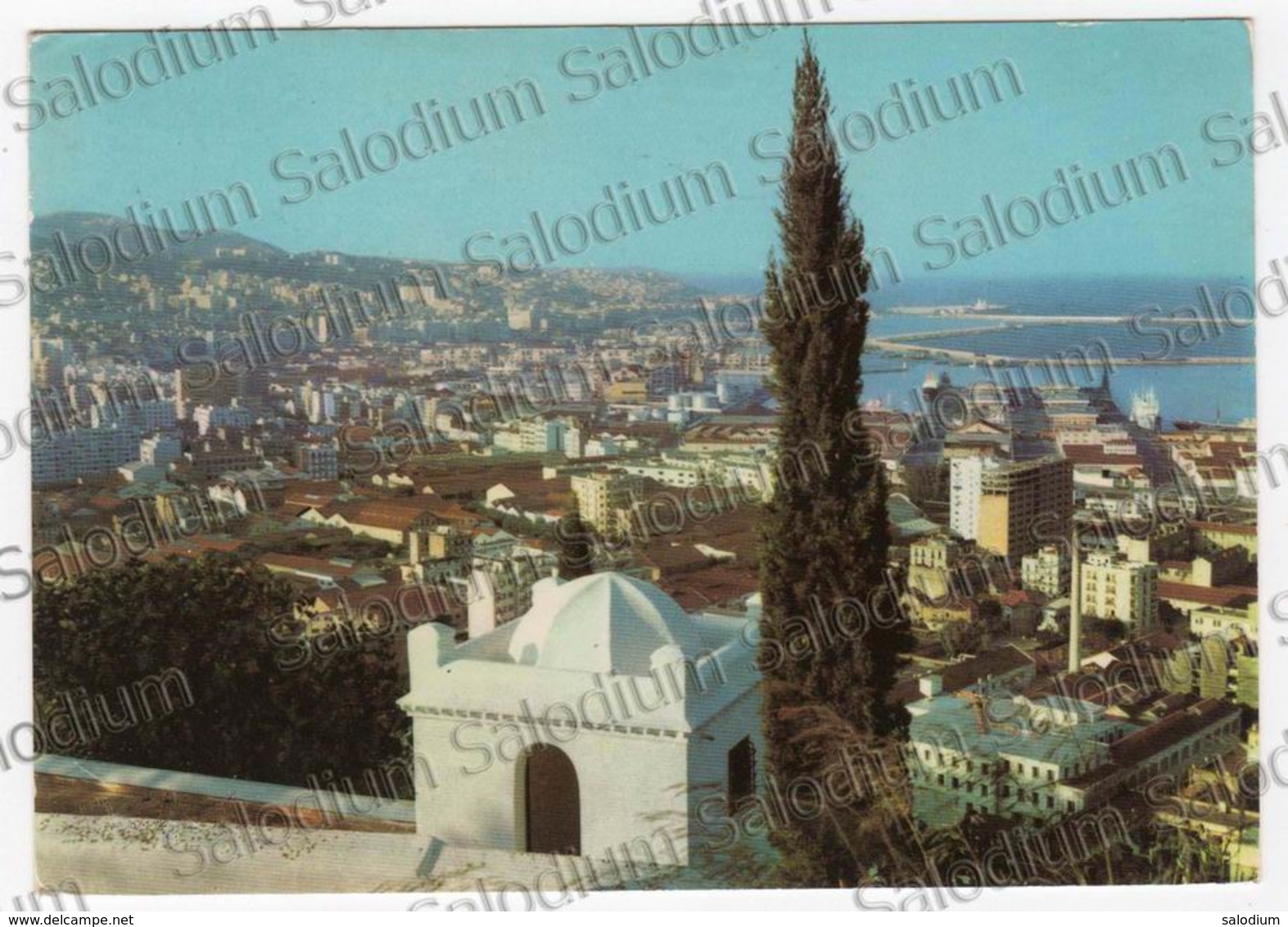 ALGER Vue Generale - Storia Postale - Algerie Algeria Algeri - Algeri