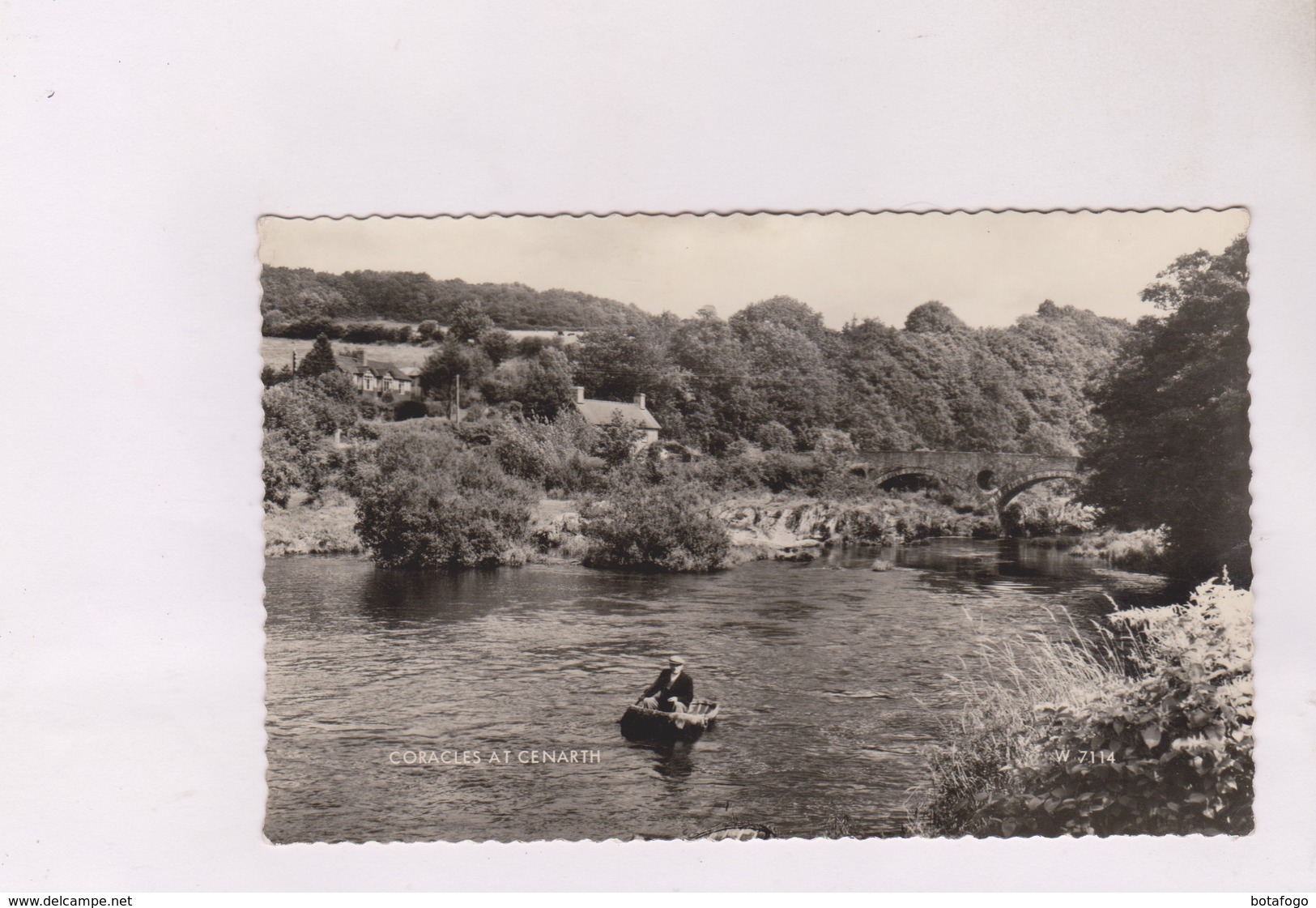 CPA PHOTO  CORACLES AT CENARTH - Autres & Non Classés