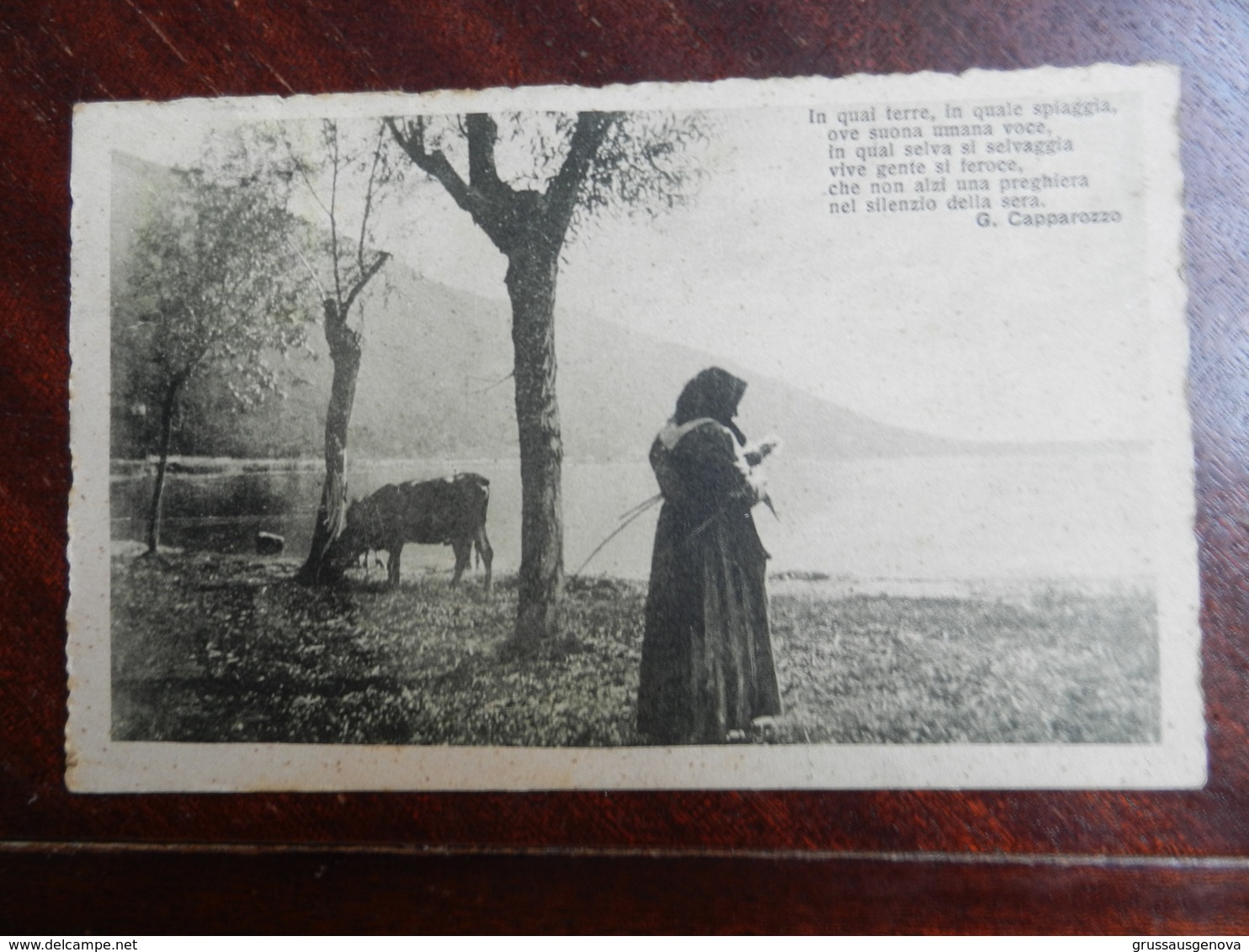 18505) LOCALITA' DA IDENTIFICARE DONNA E MUCCA CHE BEVE AL LAGO VIAGGIATA 1926 FRASE DI CAPPAROZZO - Da Identificare