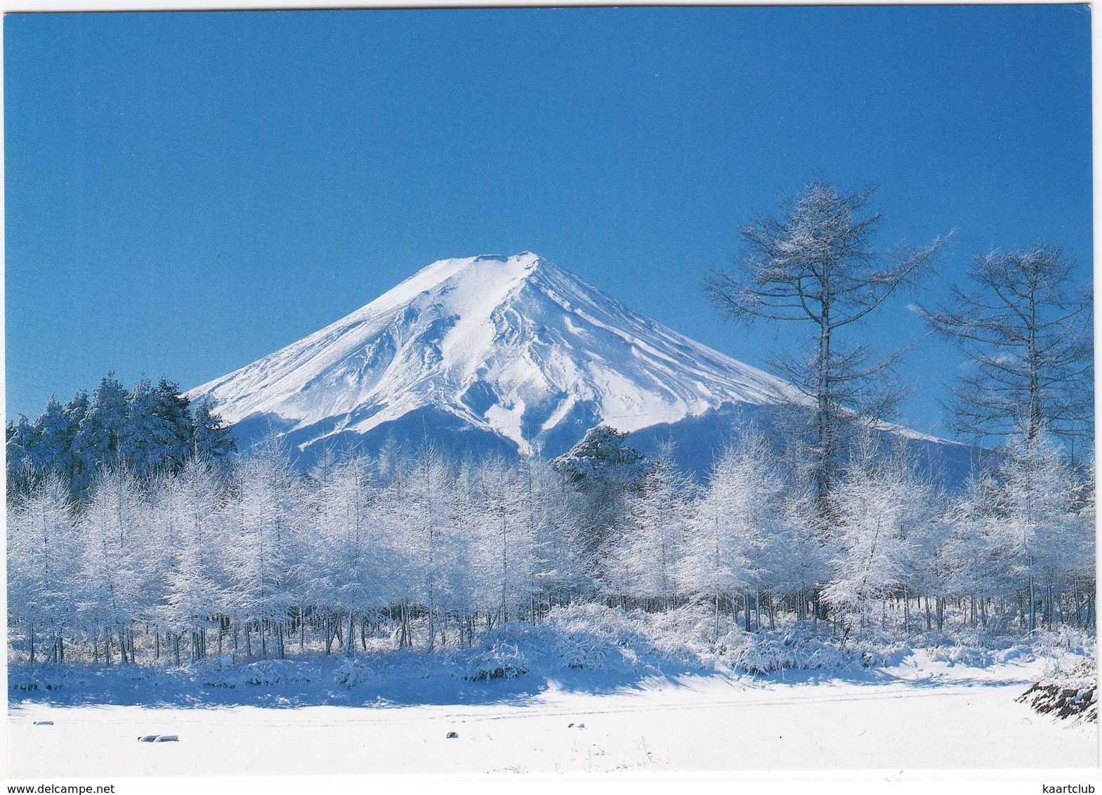 Winter Hoarfrost Near Mt. Fuji - (Japan) - Andere & Zonder Classificatie