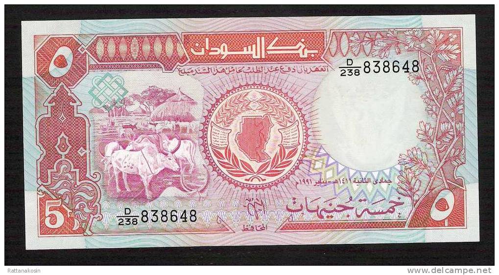 SUDAN P45  5   POUNDS 1991 #D/238   UNC. - Soudan