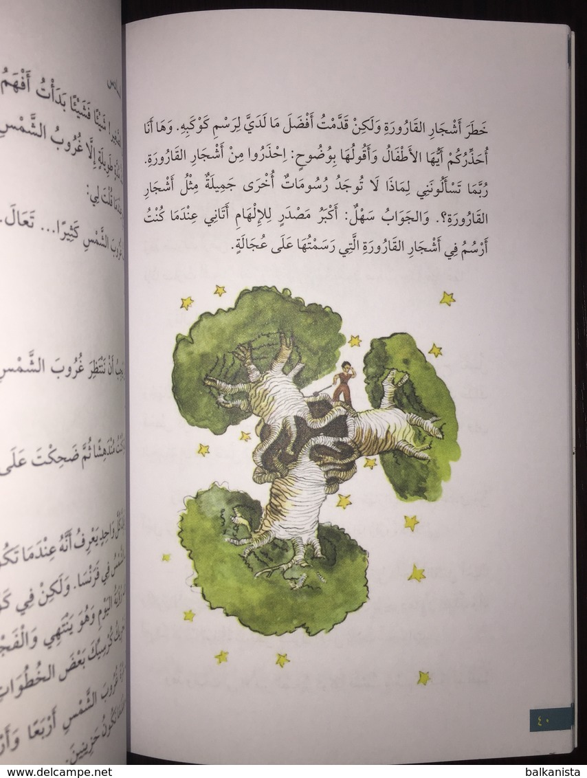 LITTLE PRINCE Antoine De Saint Exupery TURKEY ARABIC  LANGUAGE COLORED - Junior