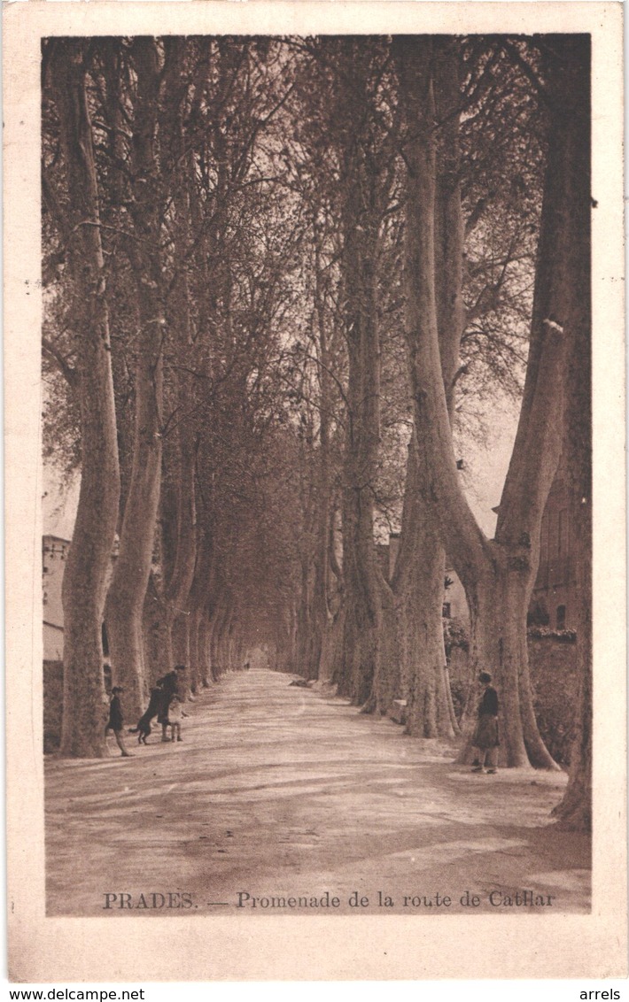 FR66 PRADES - Venant - Promenade De La Route De CATLLAR - Animée - Belle - Prades