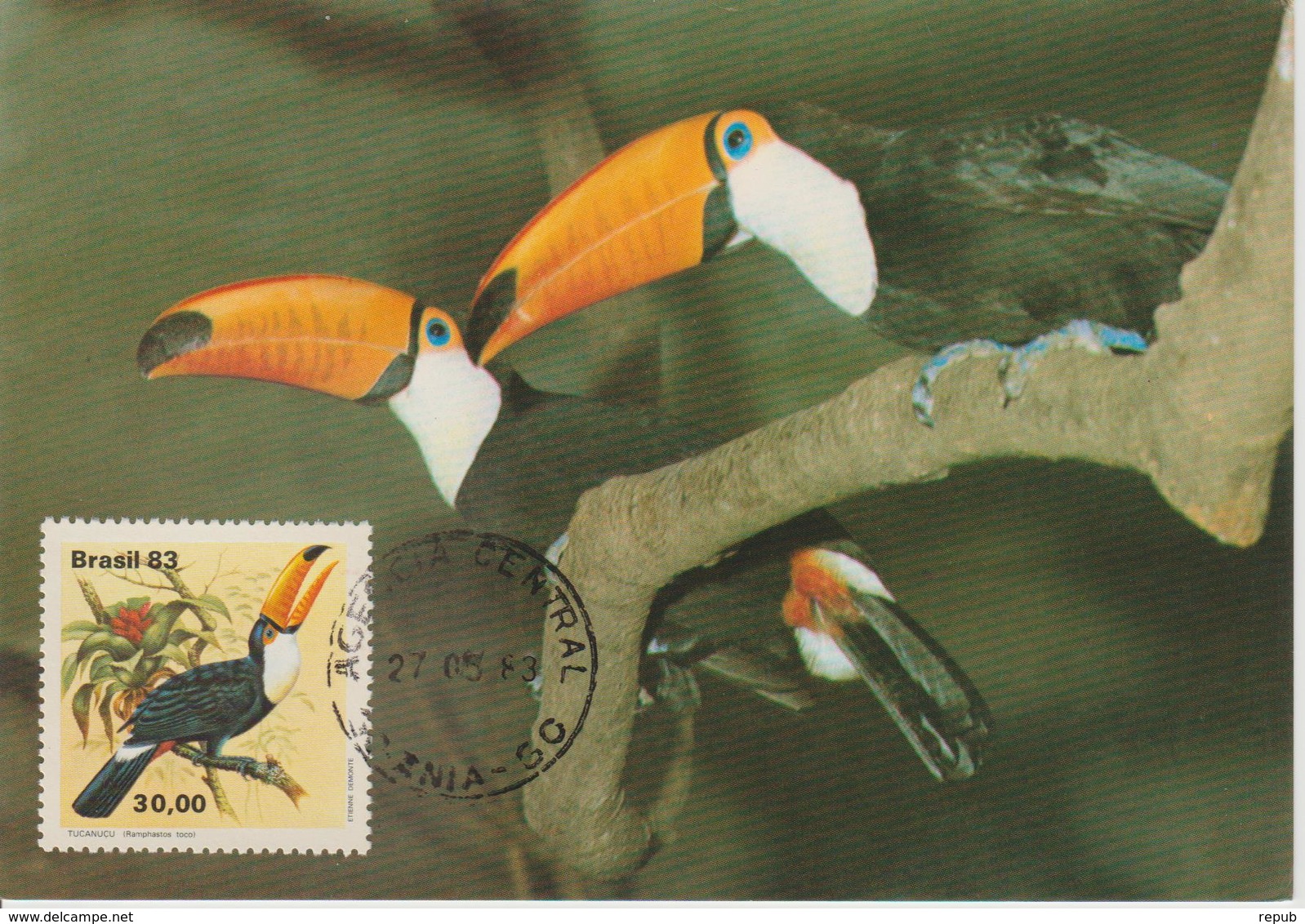 Brésil Carte Maximum 1983 Oiseau Toucan 1600 - Maximum Cards