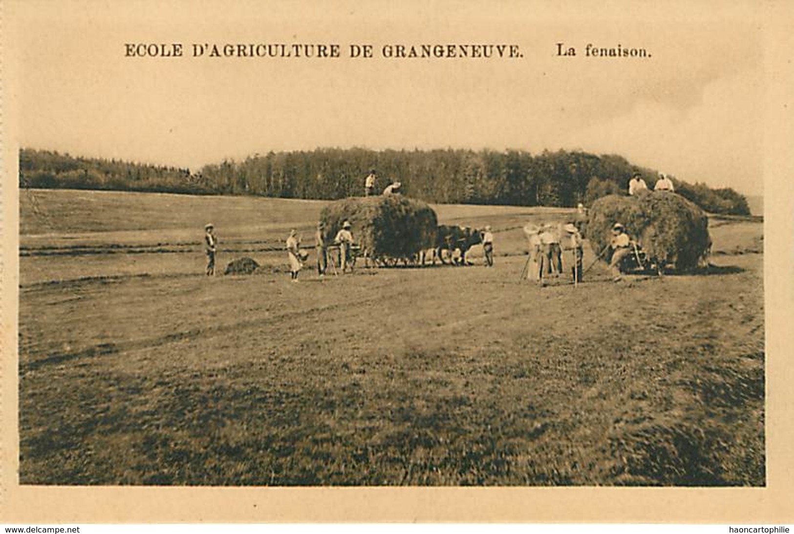 Ecole D'agriculture De Grangeneuve - Lot De 12 Cartes - Autres & Non Classés