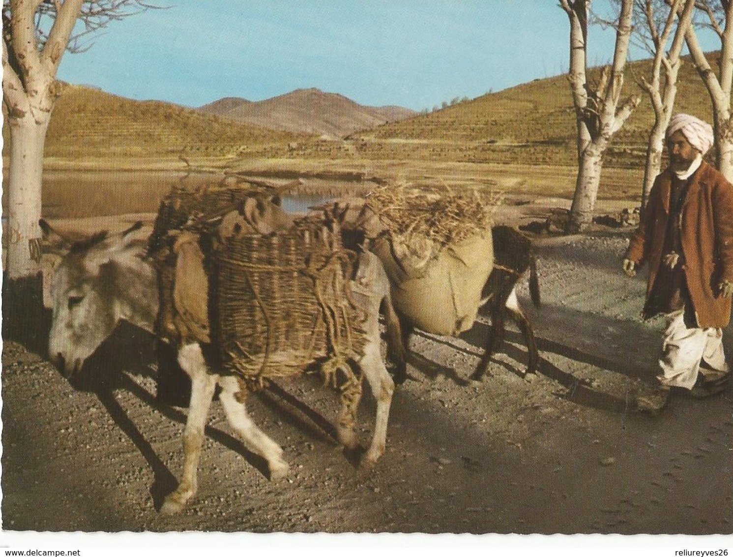 CPSM, Afghanistan , Village Transportation , Afghanistan , Ed. Hamidzadha ,Kabul - Afghanistan