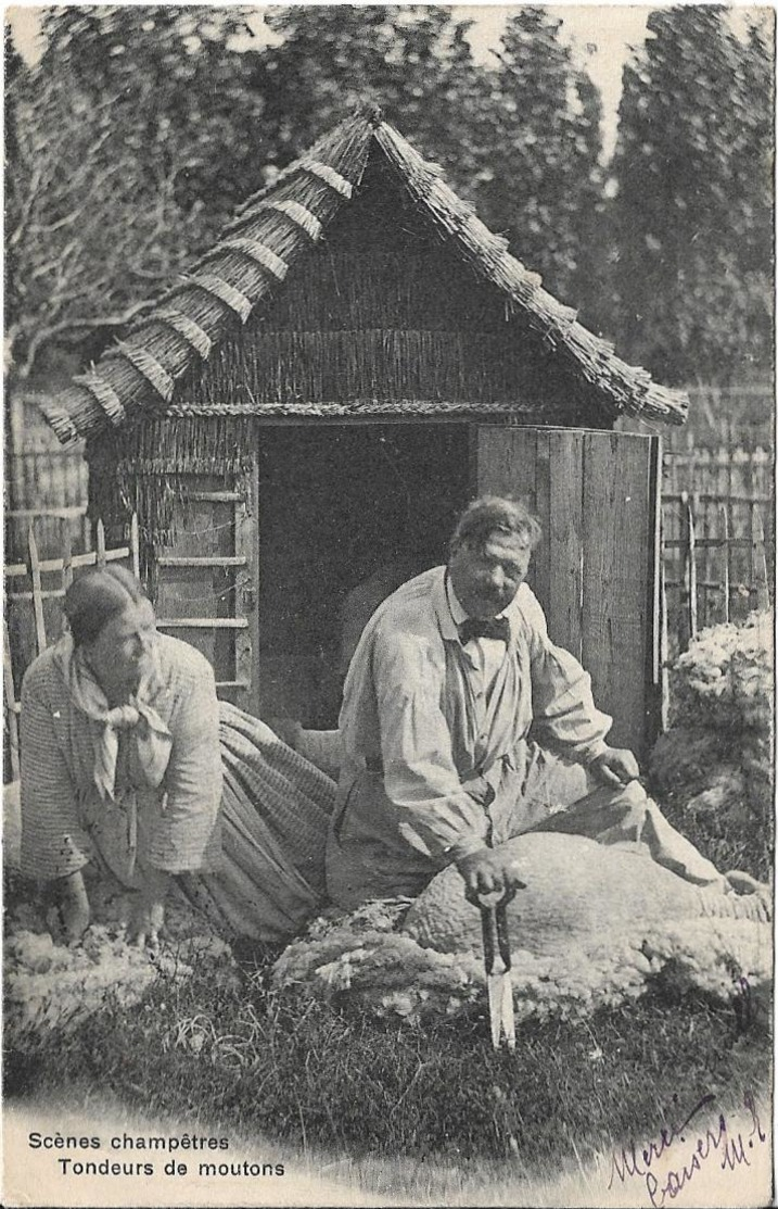 CPA  Des  Scènes  Champêtres   - Tondeurs  De  Moutons    //    TBE - Artisanat