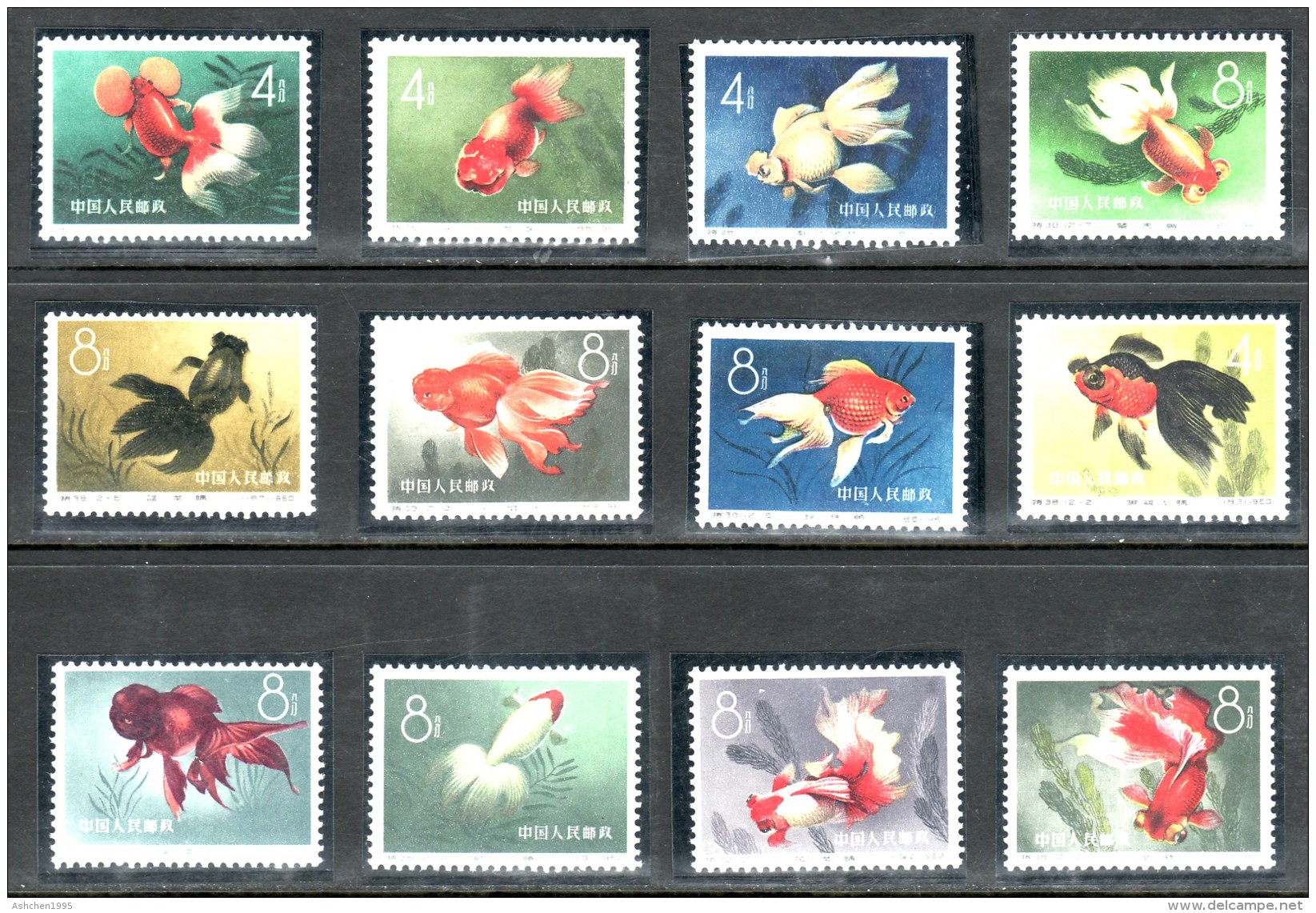 China Chine Cina 1960,  FISH, FULL SET, Mi 534-545, PERFECT CONDITION - OG MNH ** - Unused Stamps