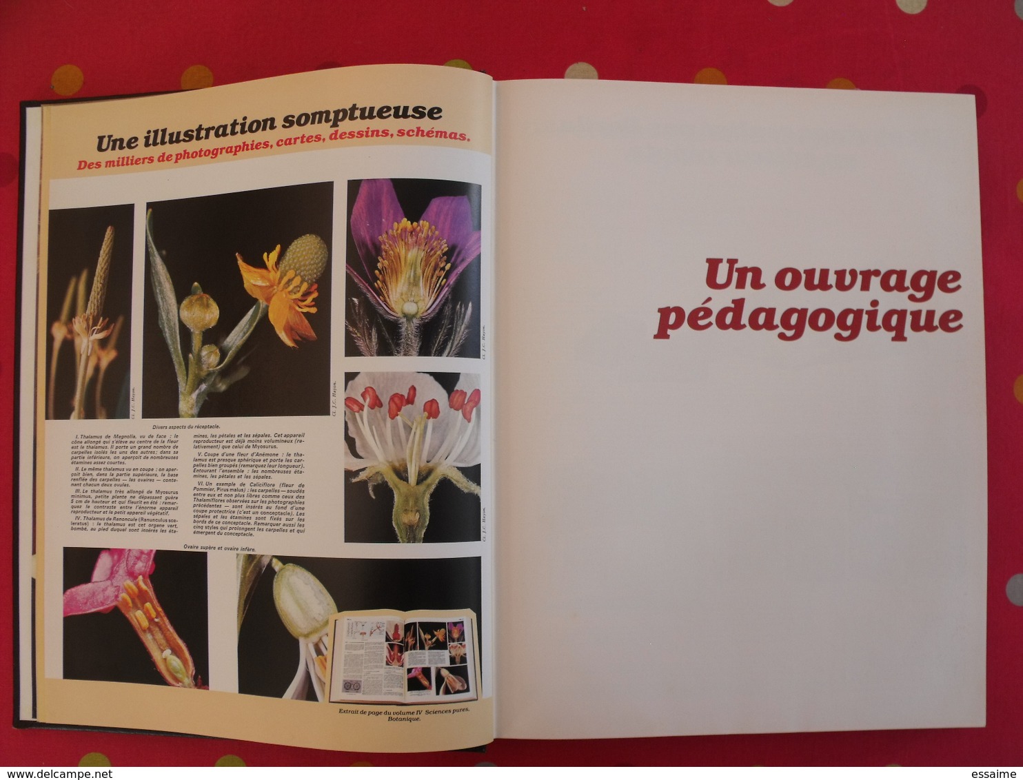 la nouvelle universelle Bordas. maquette de représentant. Encyclopédie, publicité. sd vers 1980