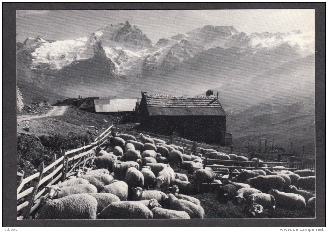 94291/ Photographe Bernard GRANGE, *Un Certain Regard...* - Altri & Non Classificati