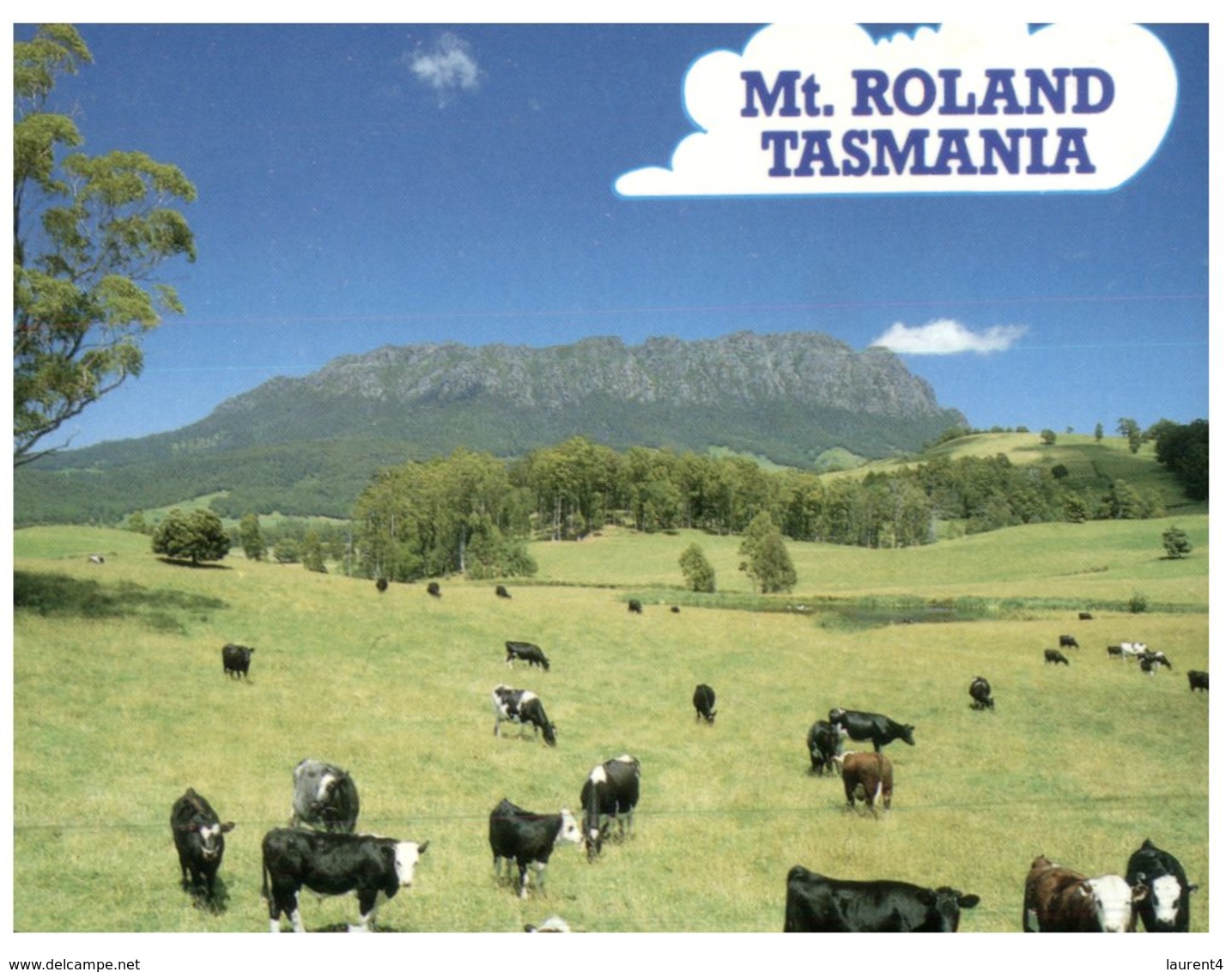 (70) Australia - With Stamp At Back Of Card - TAS - Mt Roland With Cows - Mackay / Whitsundays
